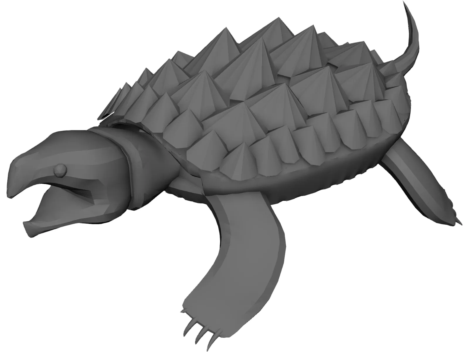 Alligator Turtle (Macrochelys Temminckii) 3D Model main preview
