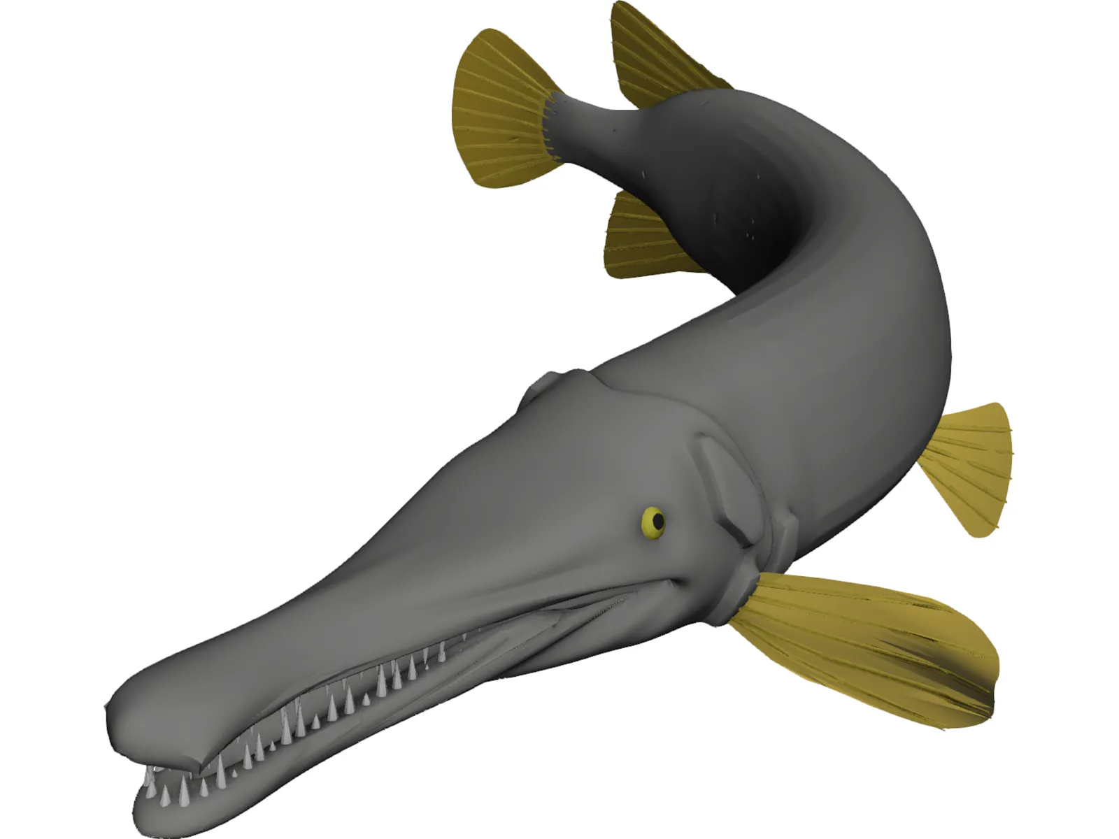 Alligator Gar (Atractosteus Spatula) 3D Model main preview