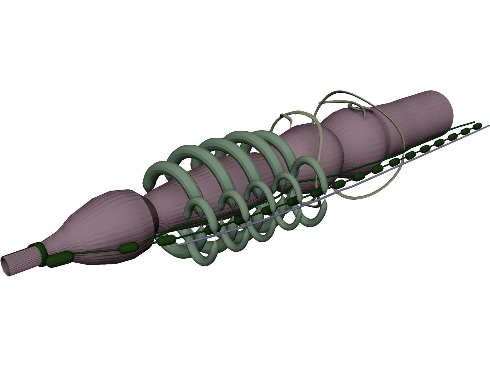 Earthworm 3D Model main preview