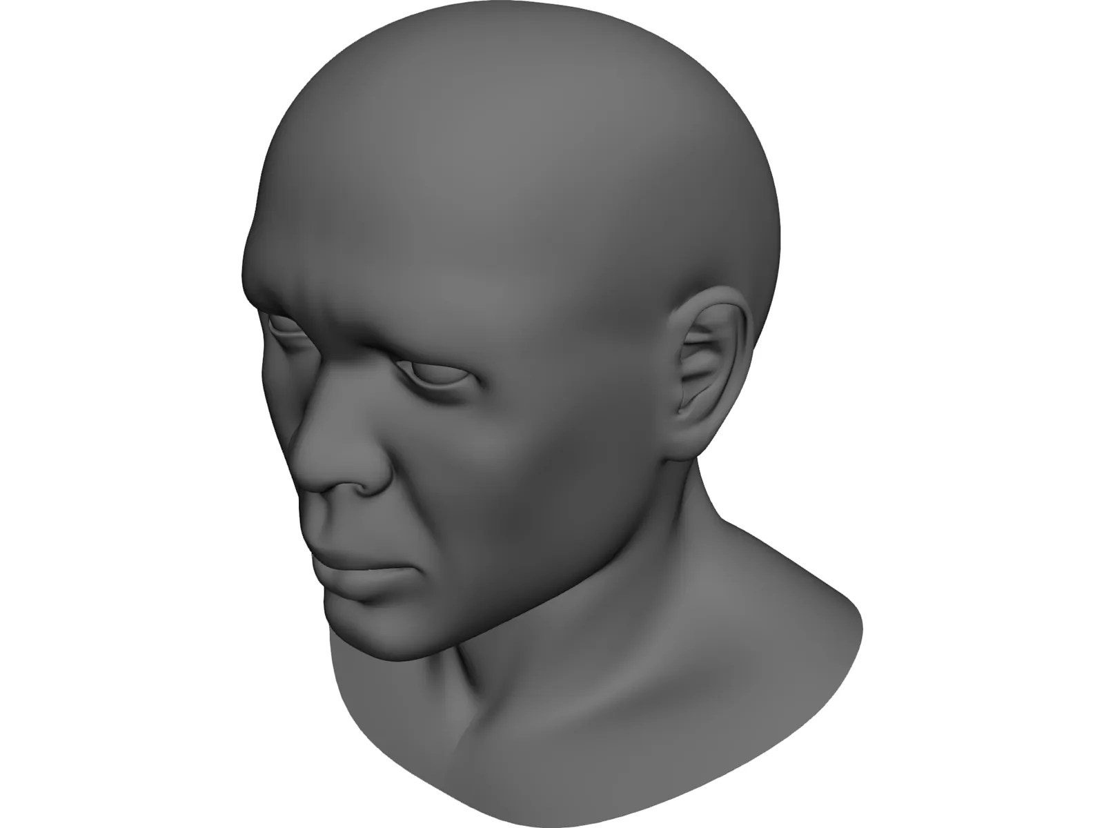 Samuel Head 3D Model main preview