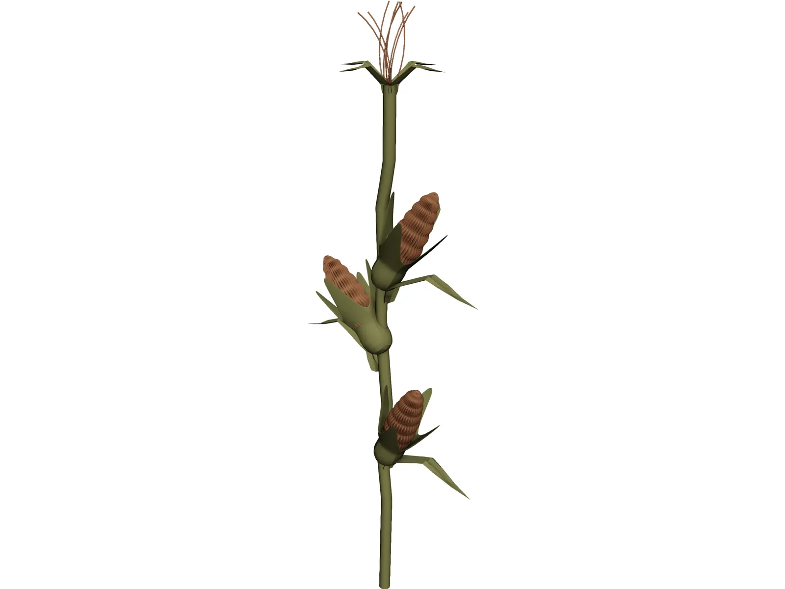 Corn Stalk 3D Model main preview