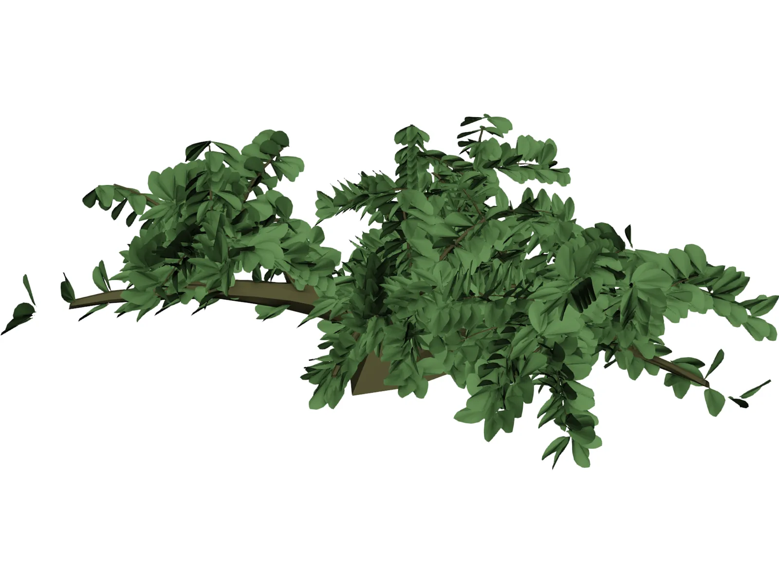Tree 3D Model main preview