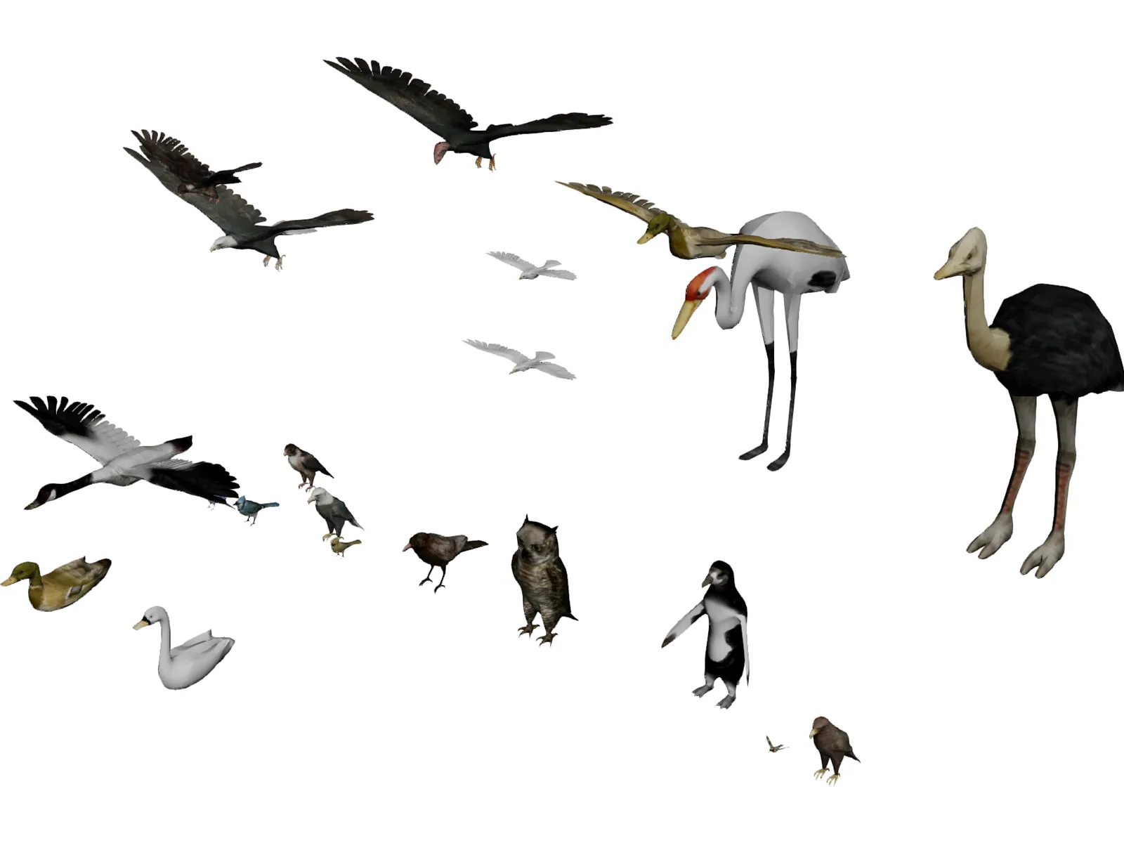 Birds Collection 3D Model main preview