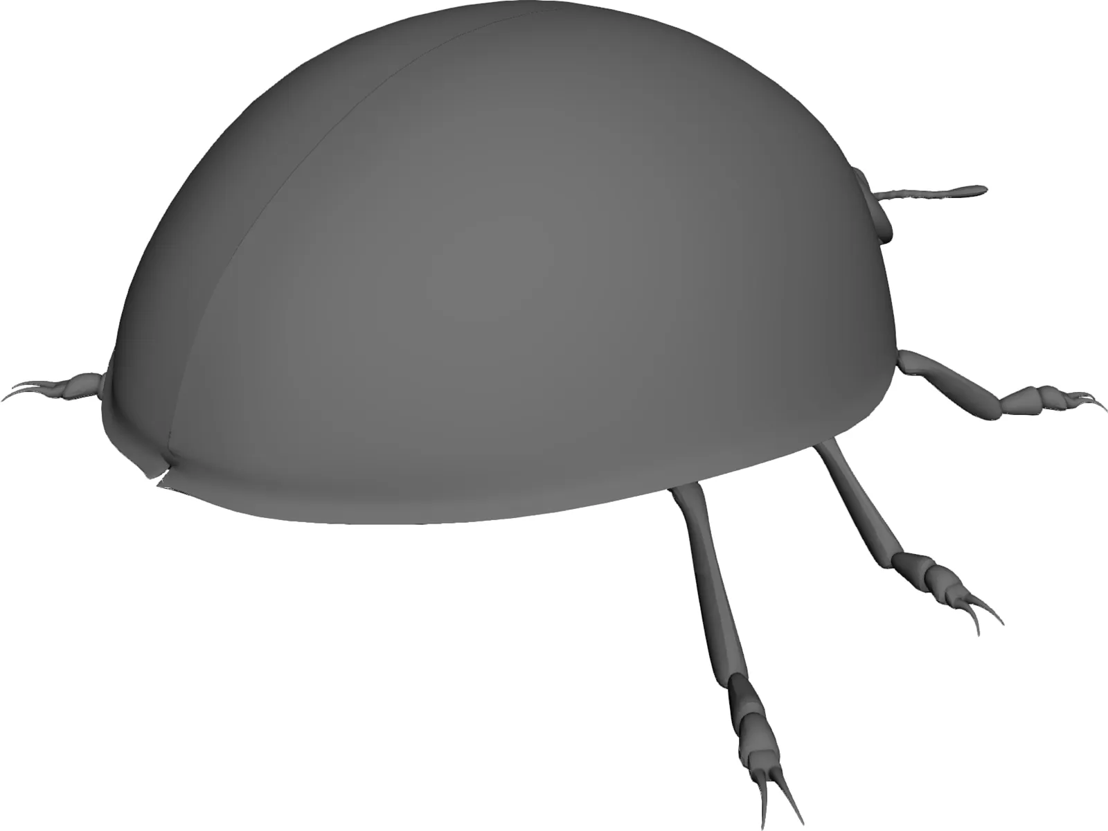 Ladybird 3D Model main preview