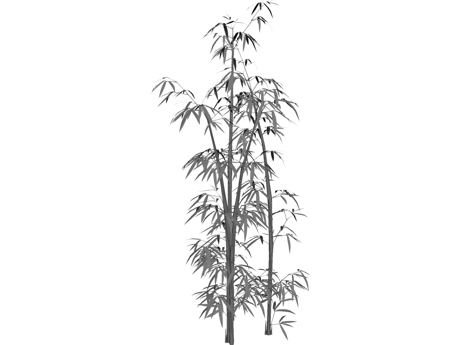 Bamboo Grove 3D Model main preview