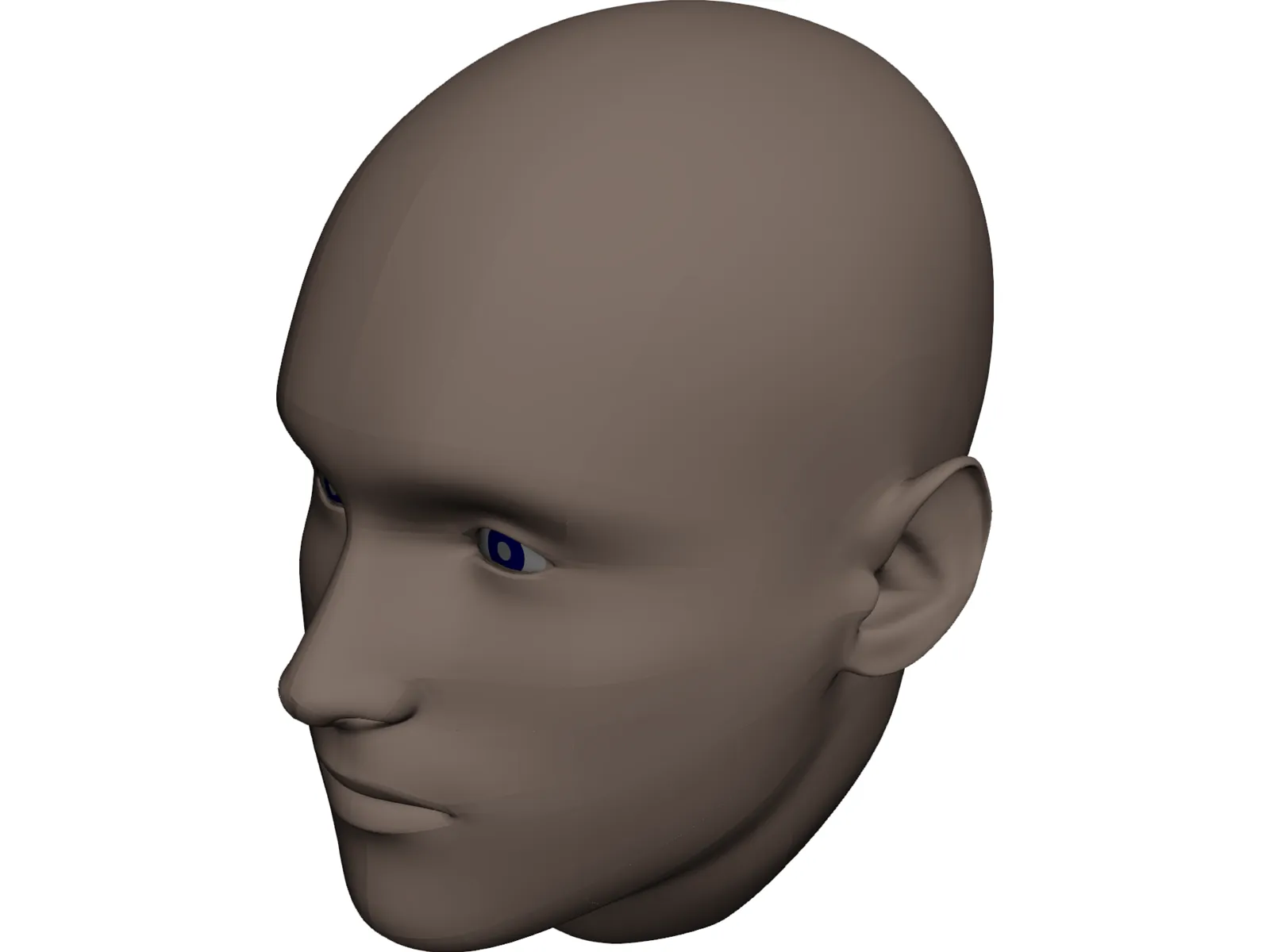 Human Head 3D Model main preview