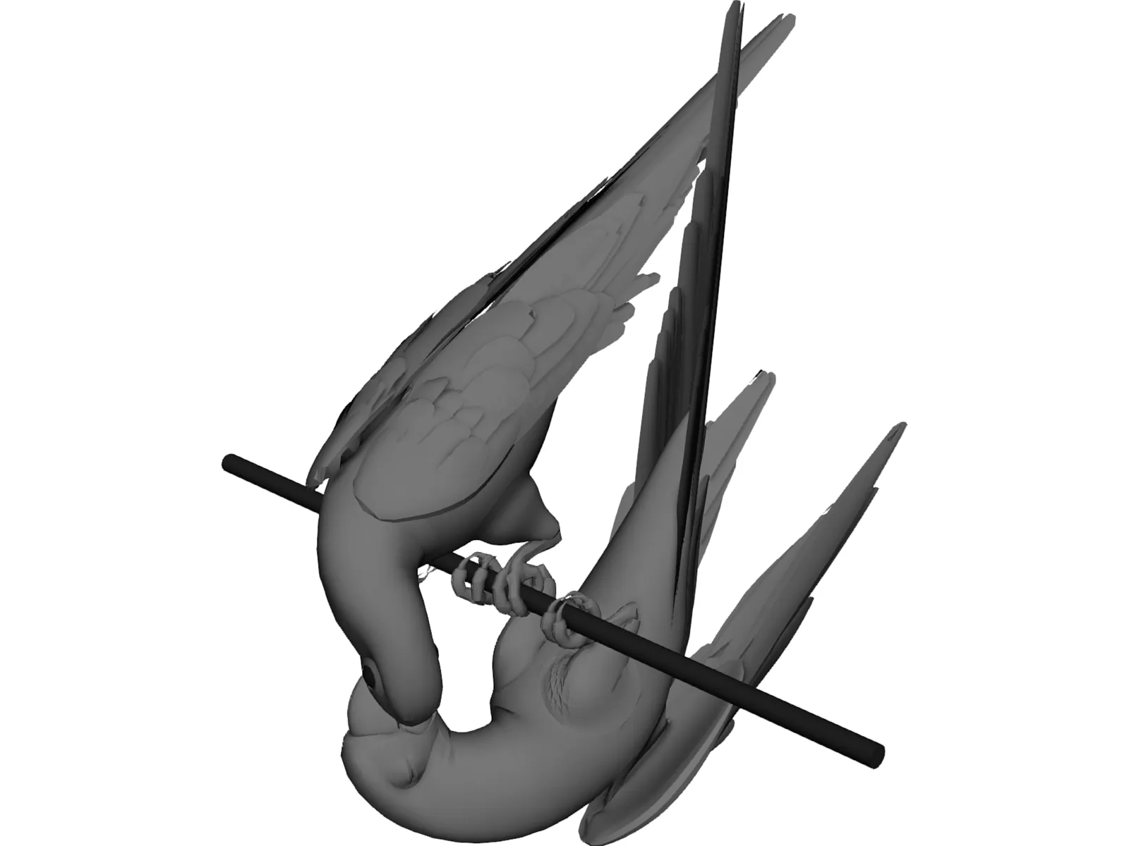 Parrots Macaws 3D Model main preview
