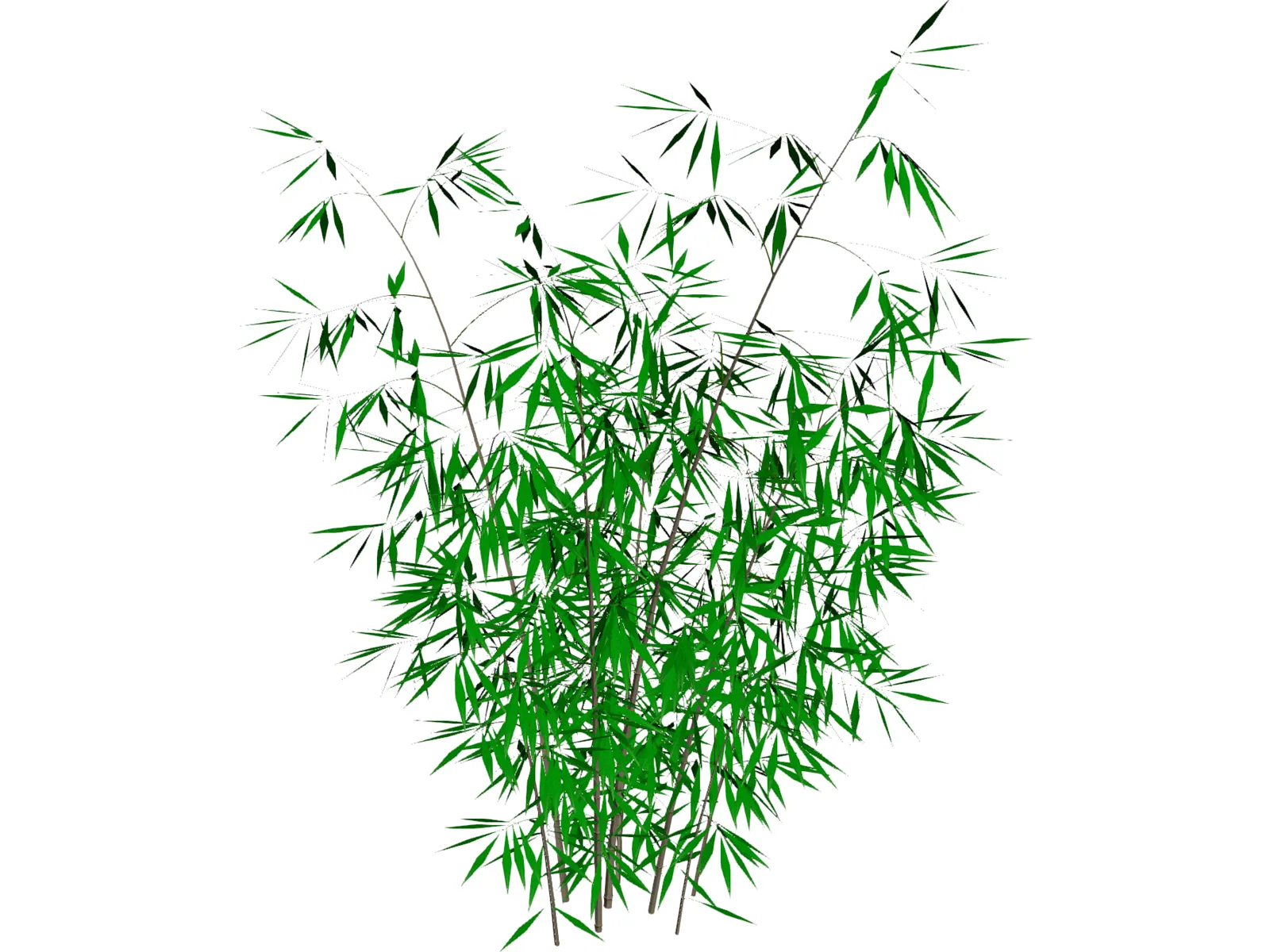 Bamboo 3D Model main preview