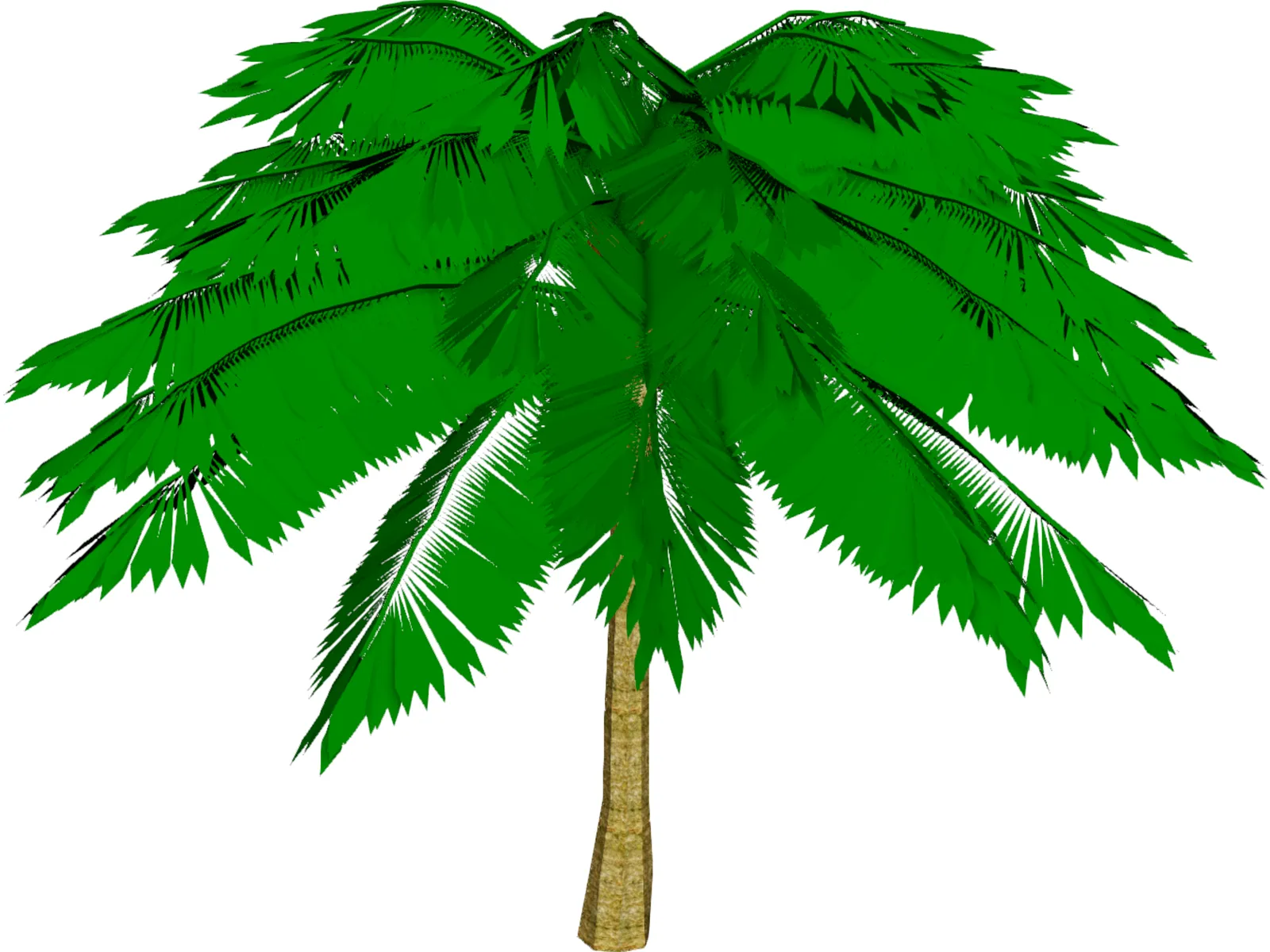 Palm Tree 3D Model main preview