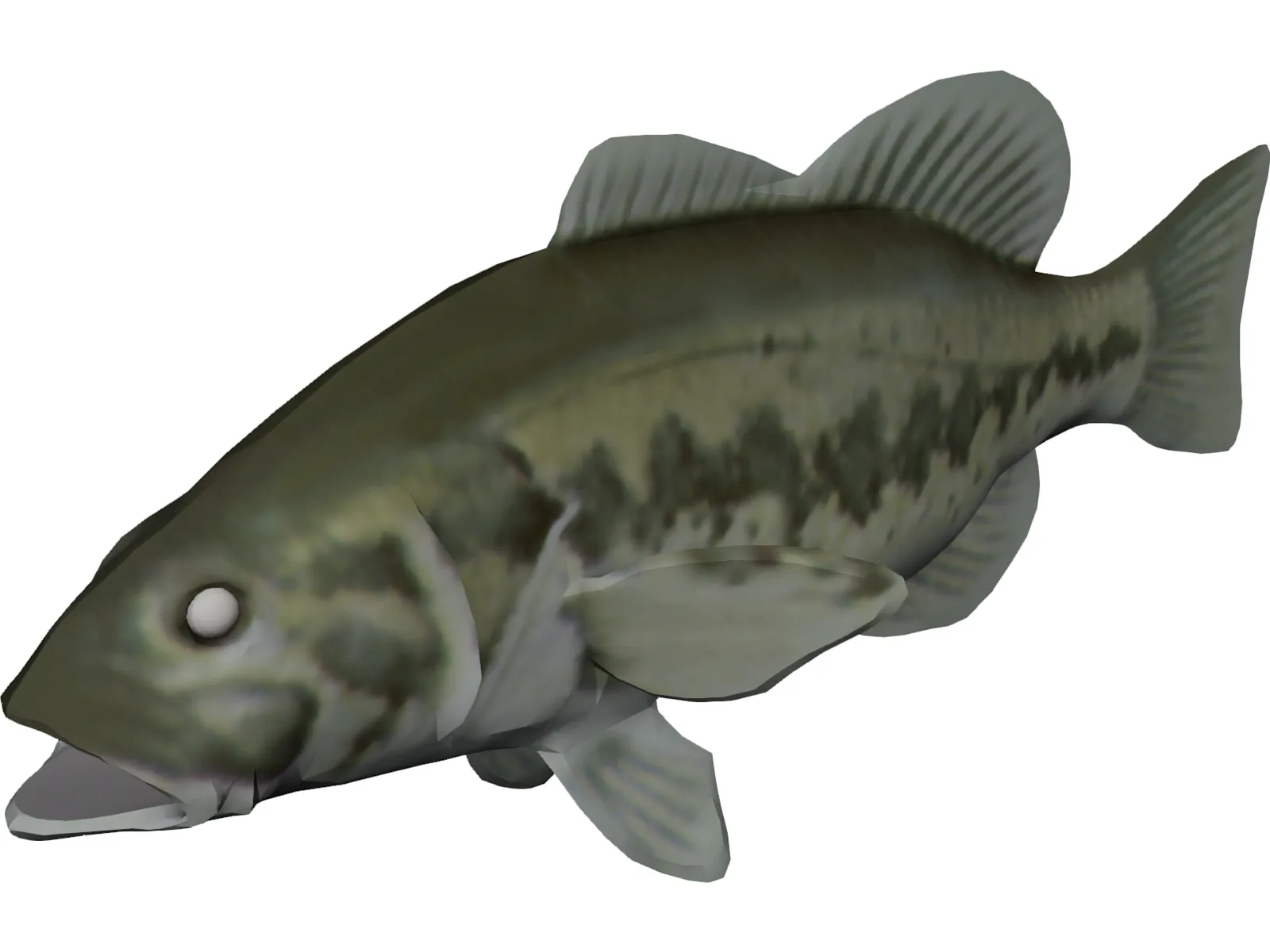 Bass 3D Model main preview