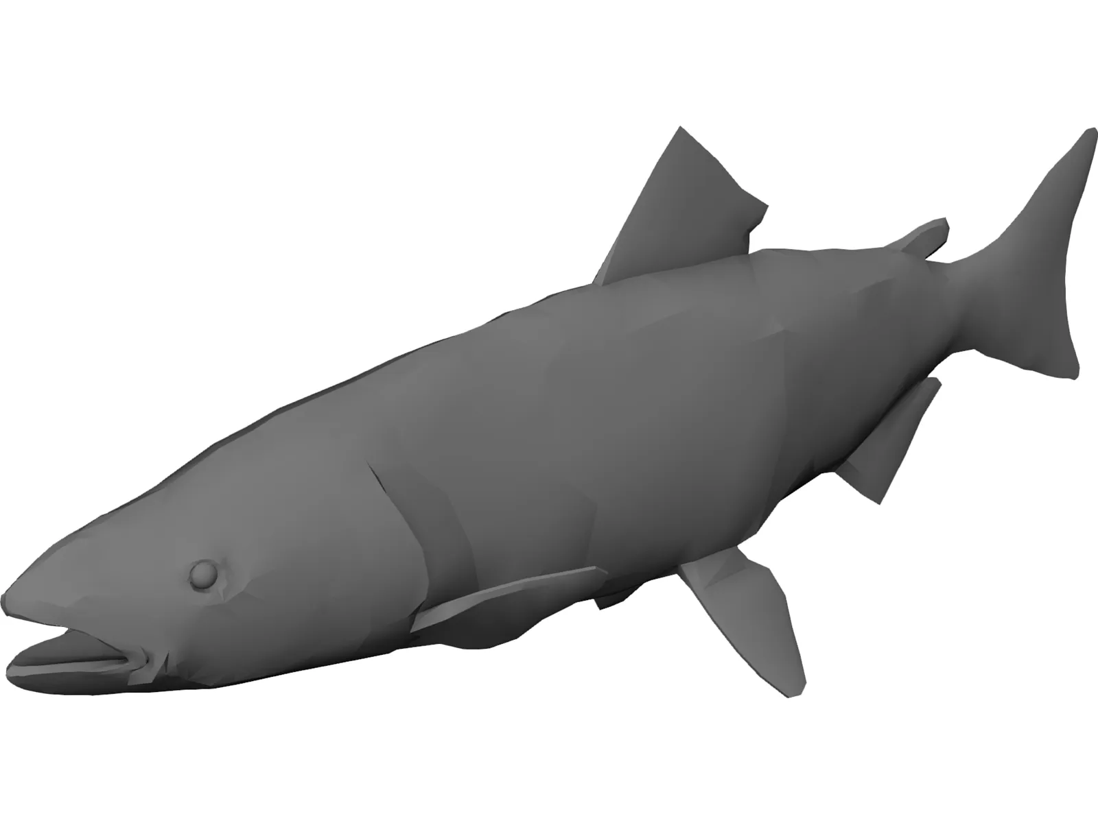 Salmon 3D Model main preview