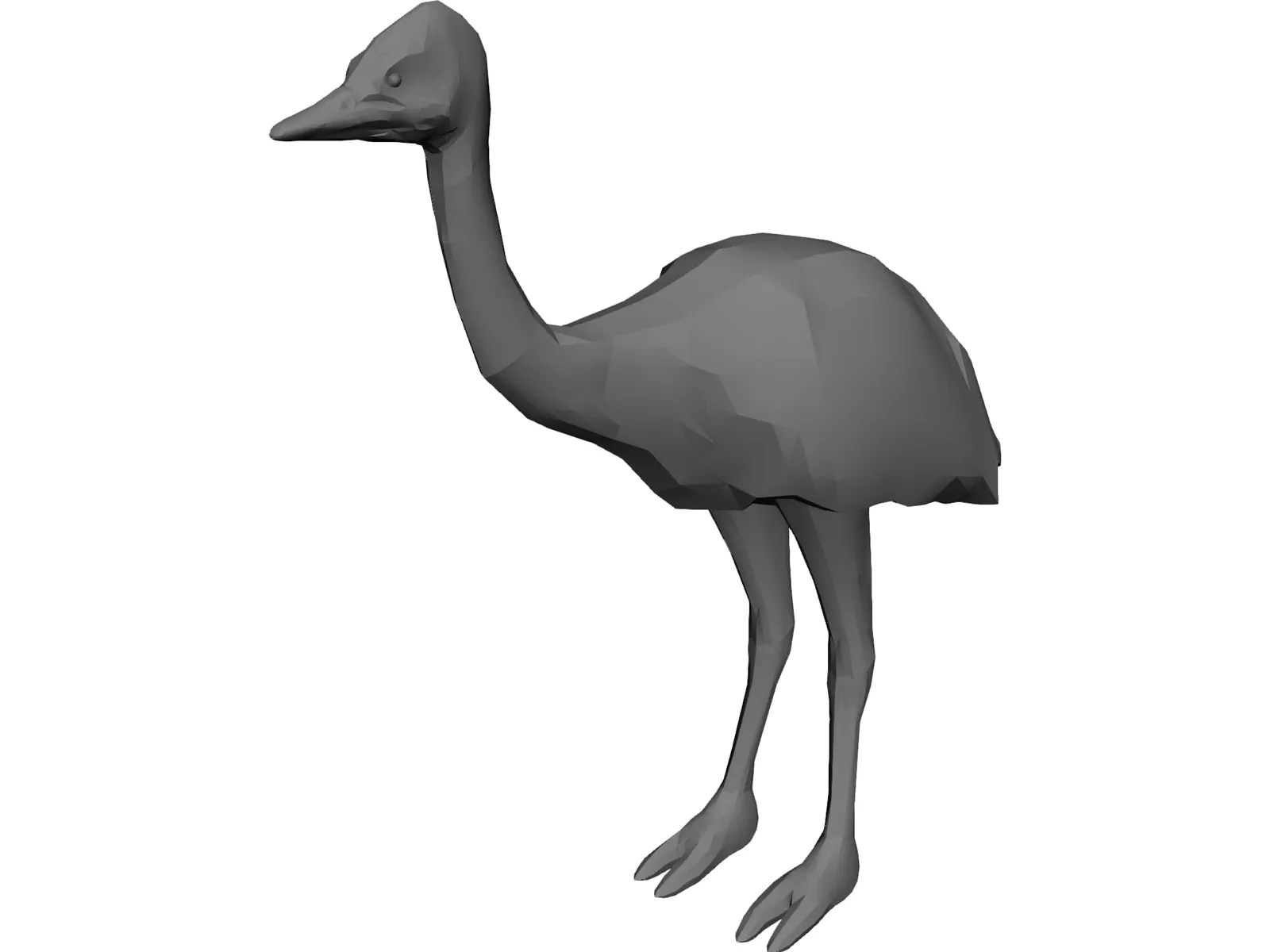 Ostrich 3D Model main preview