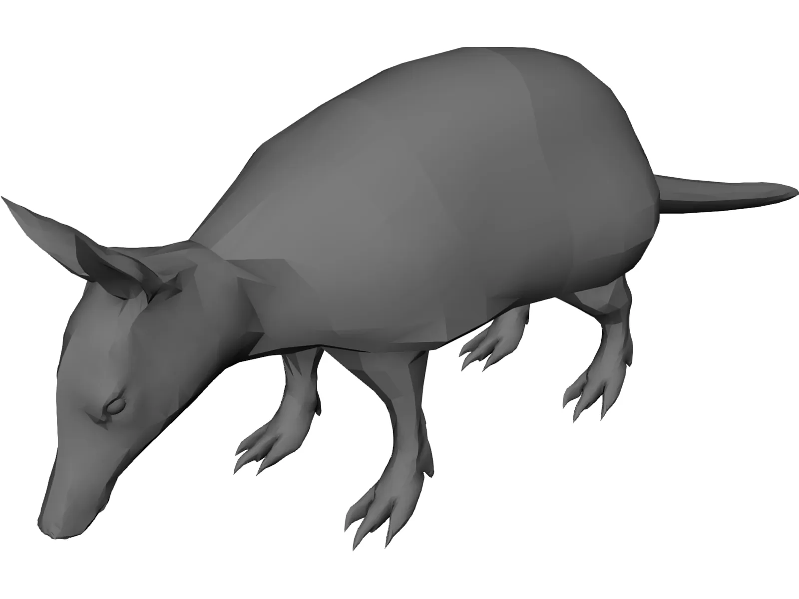 Armdillo 3D Model main preview