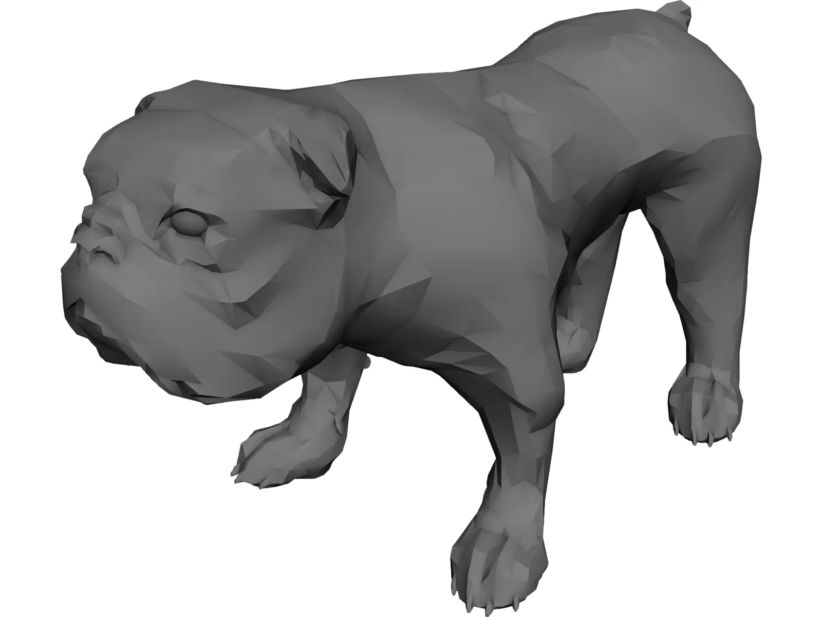 Dog Bulldog 3D Model main preview