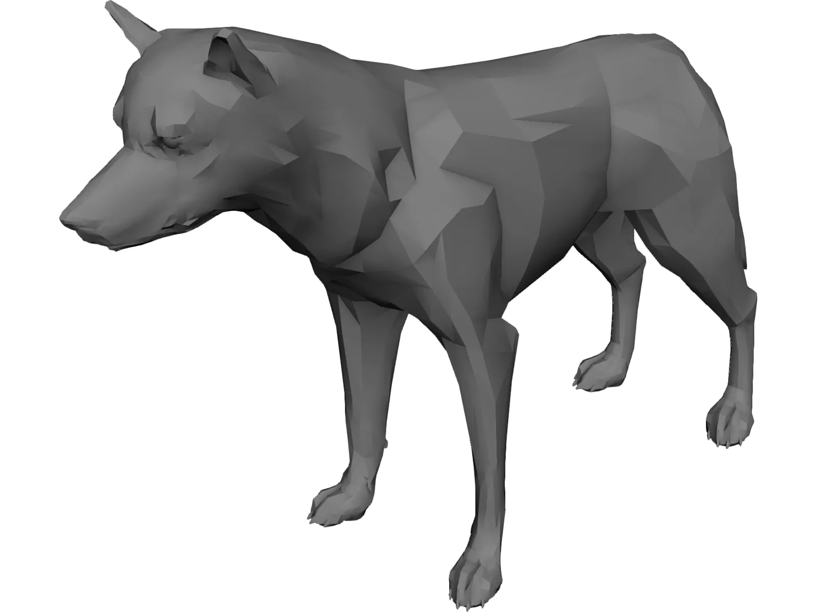 Coyote 3D Model main preview