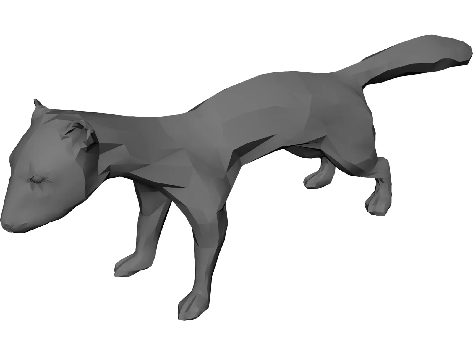 Ferret 3D Model main preview