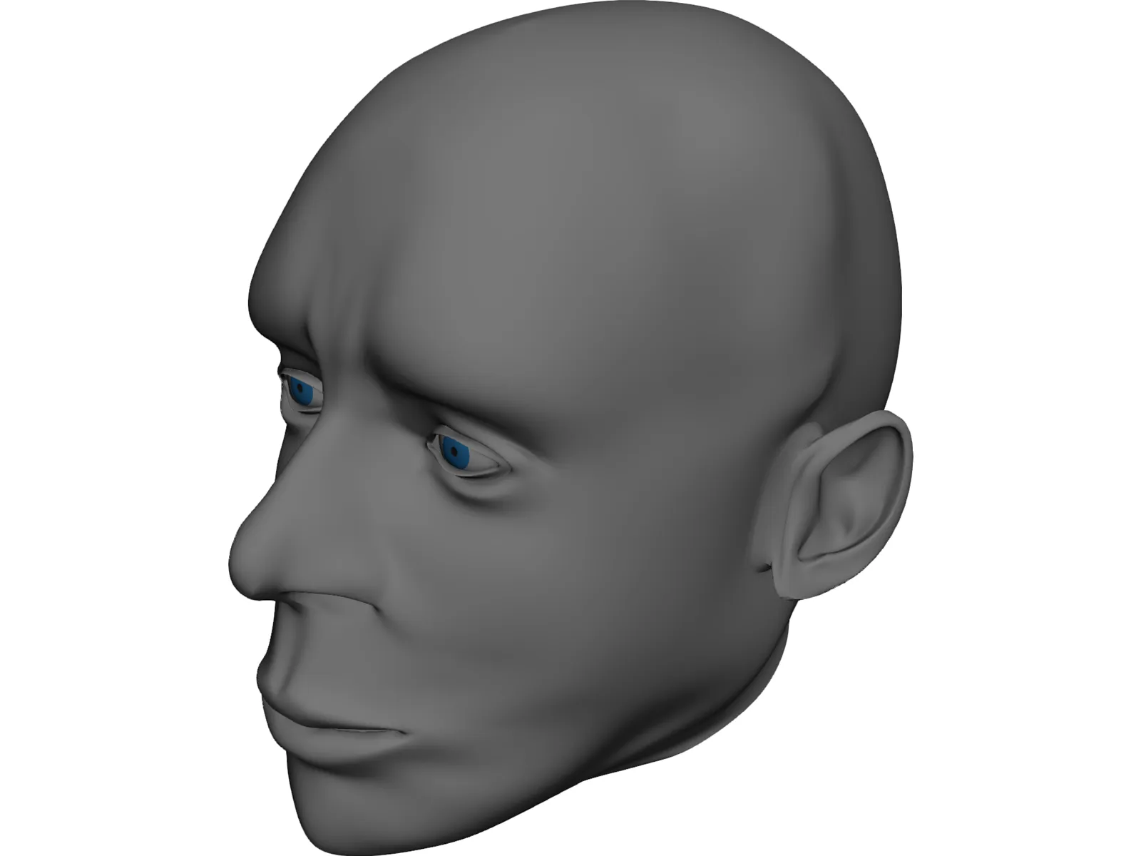 Head Male 3D Model main preview