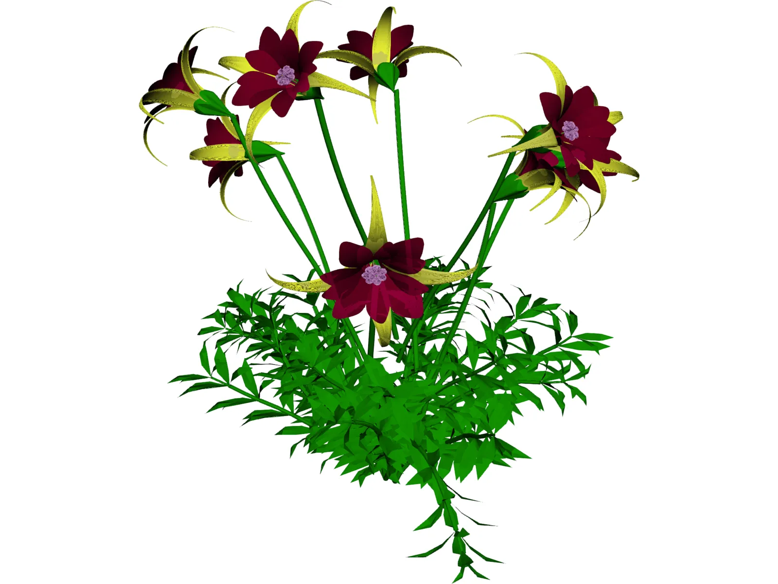 Aquilegia Bied 3D Model main preview
