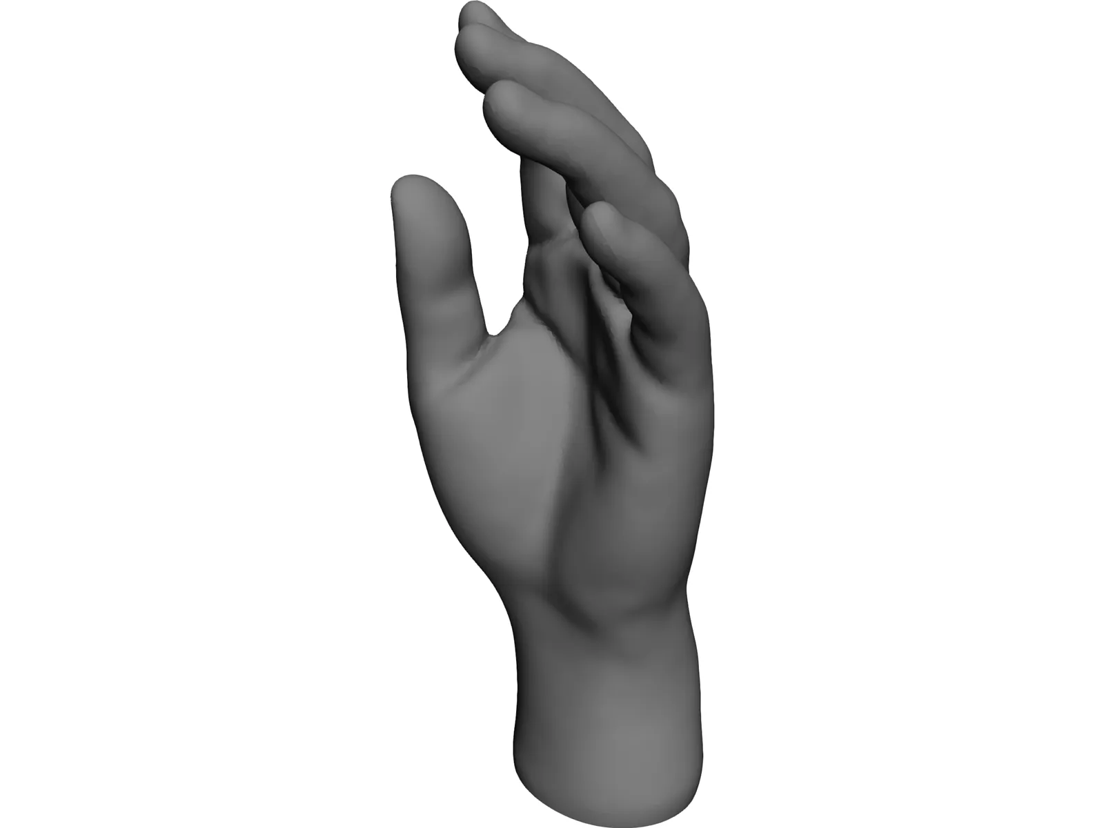 Hand 3D Model main preview