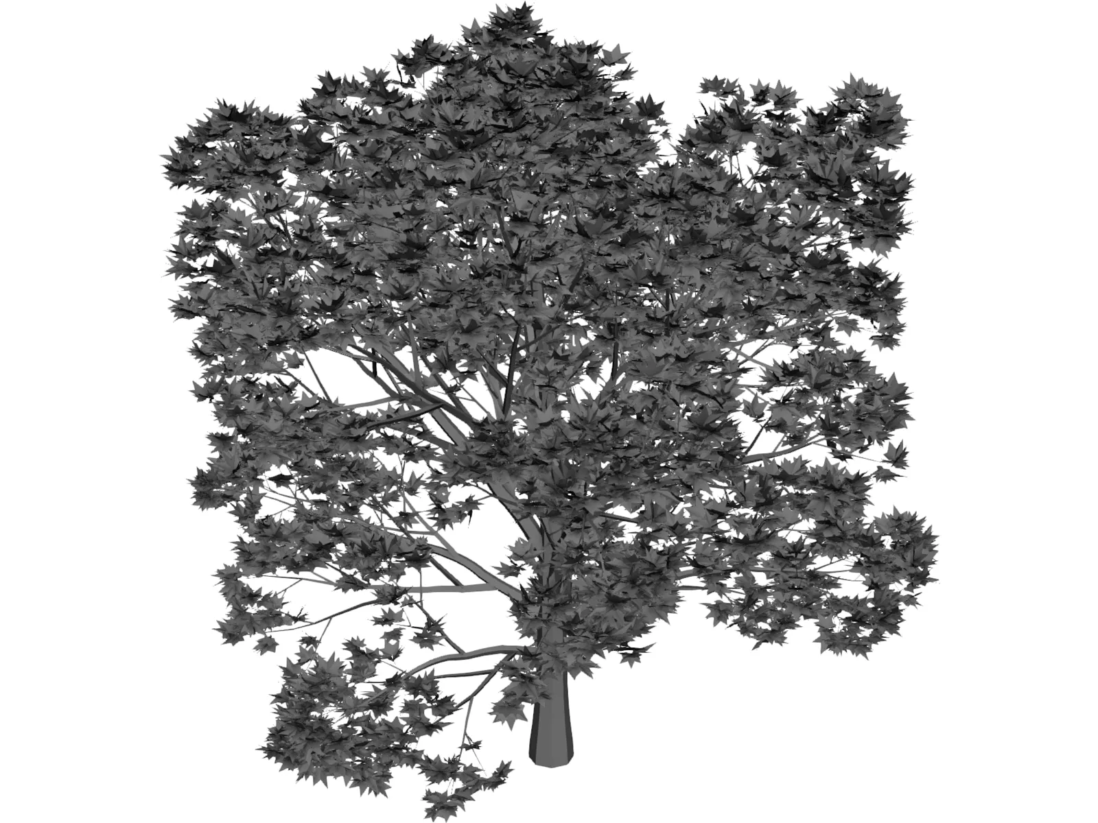 Oak Tree 3D Model main preview