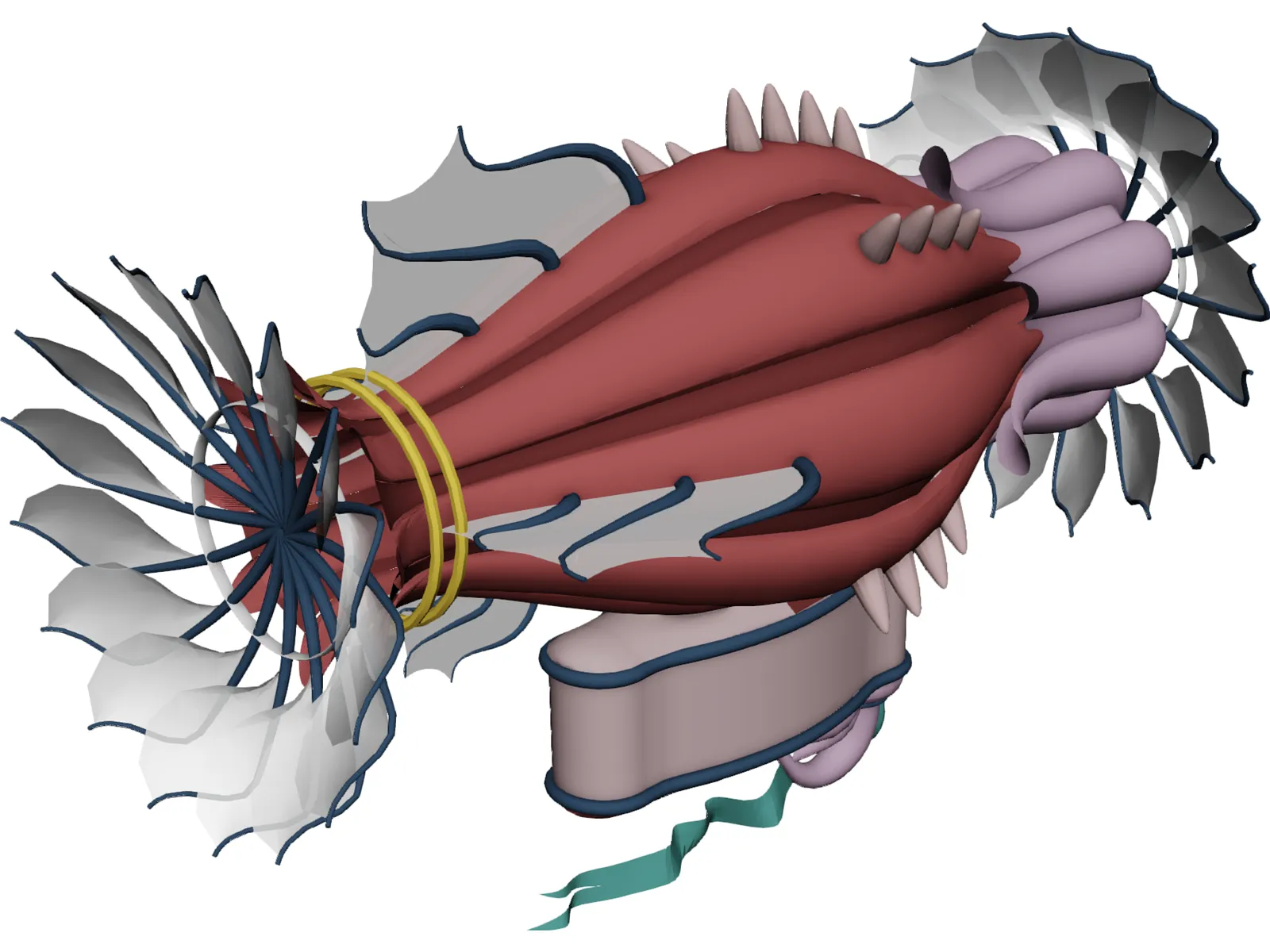 Air Veichle Fantasy 3D Model main preview