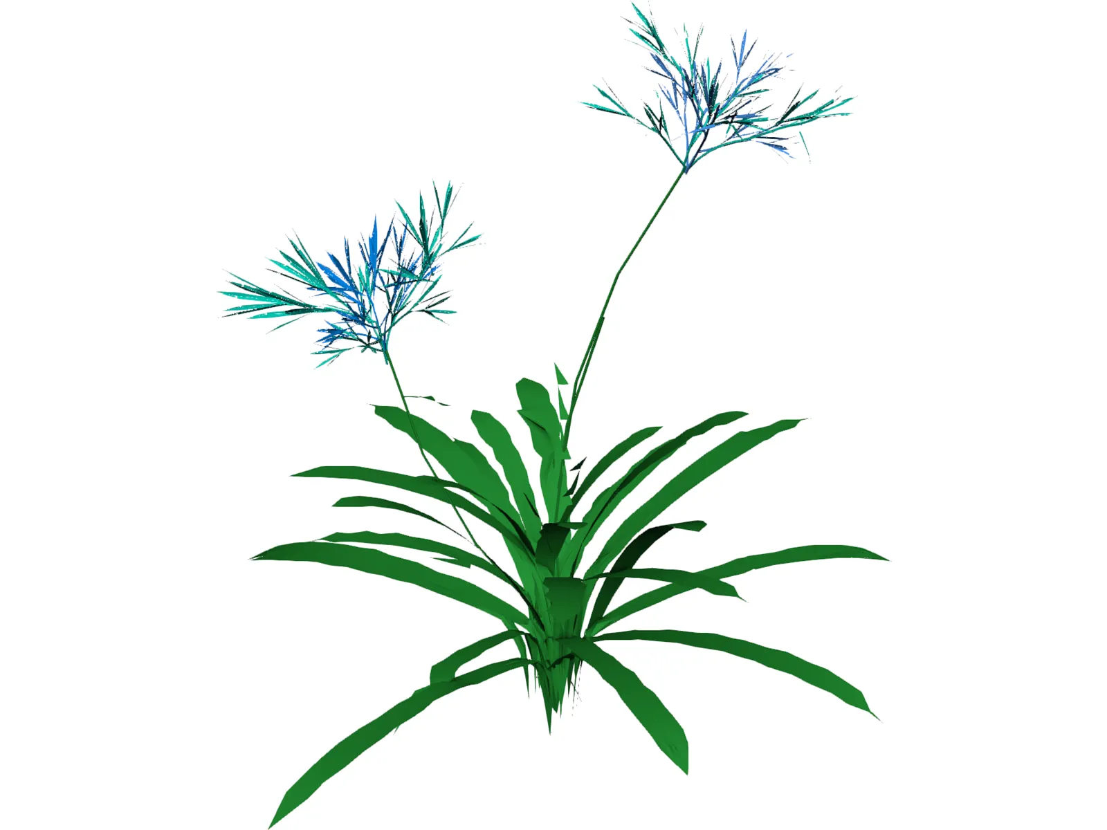 Agapanthus 3D Model main preview
