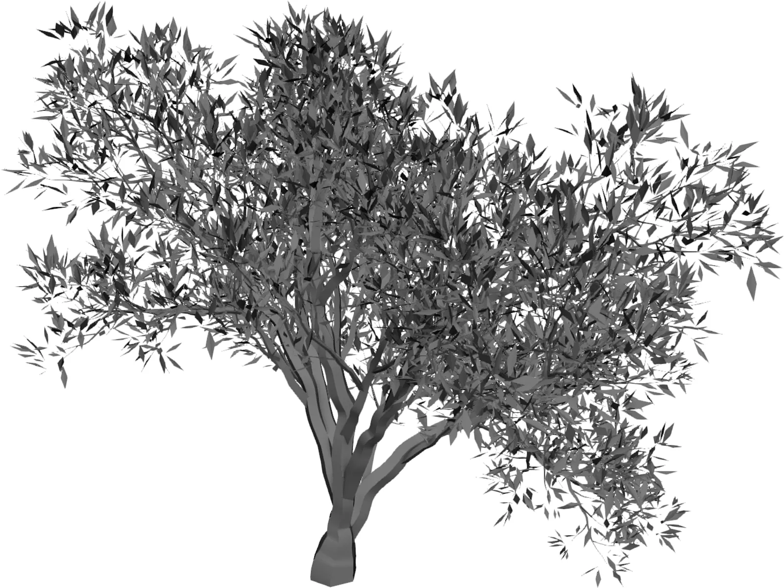 Olive Tree 3D Model main preview