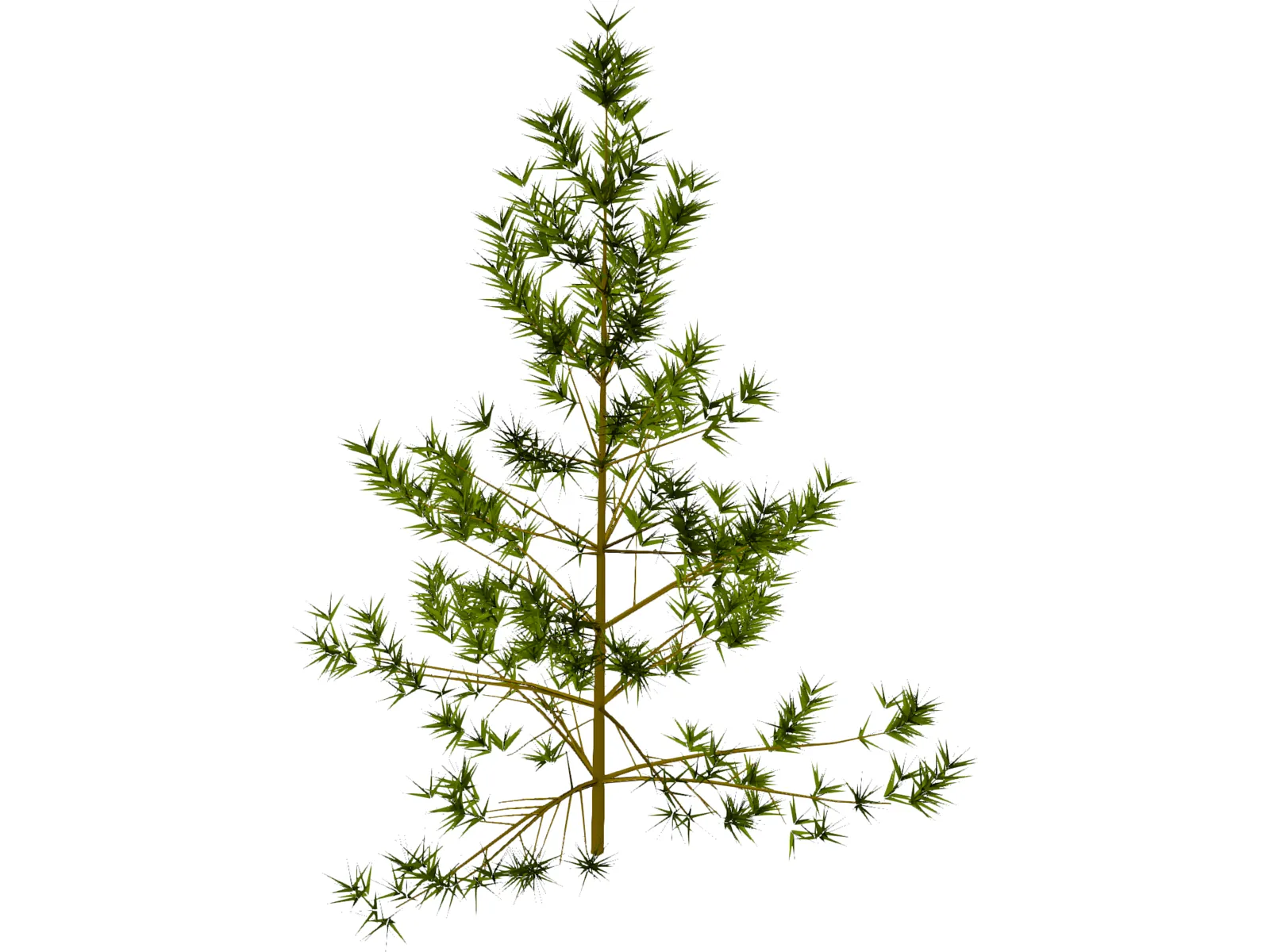 Pine Tree 3D Model main preview