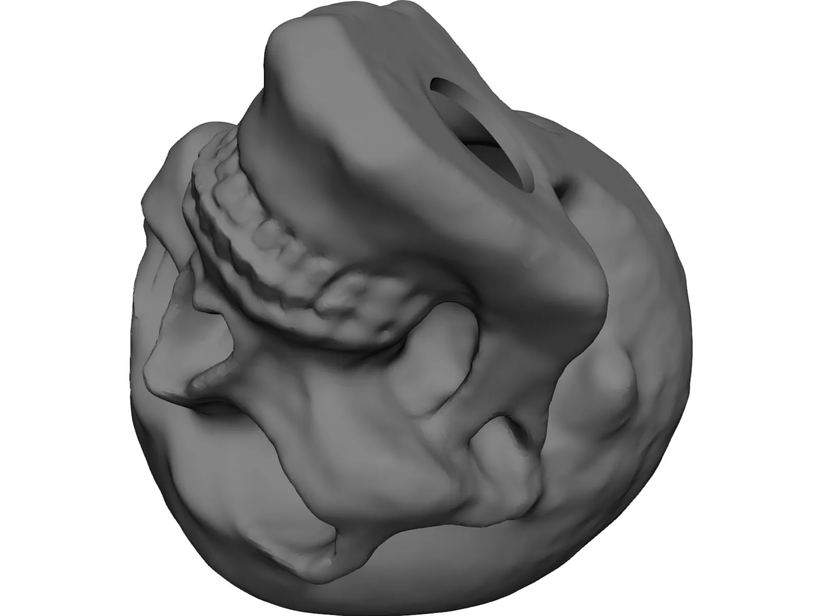 Skull Hollowed 3D Model main preview