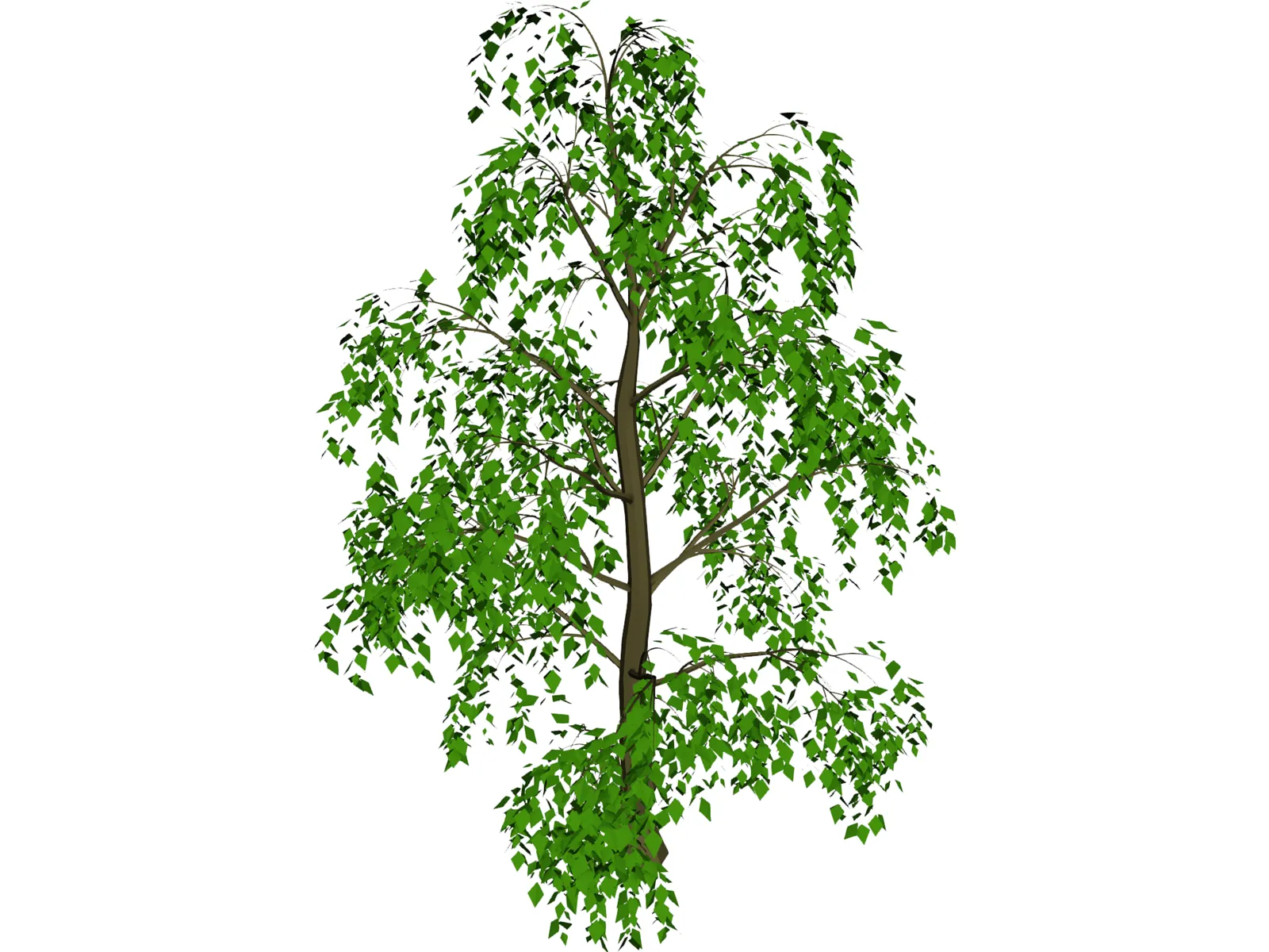 Tree 3D Model main preview