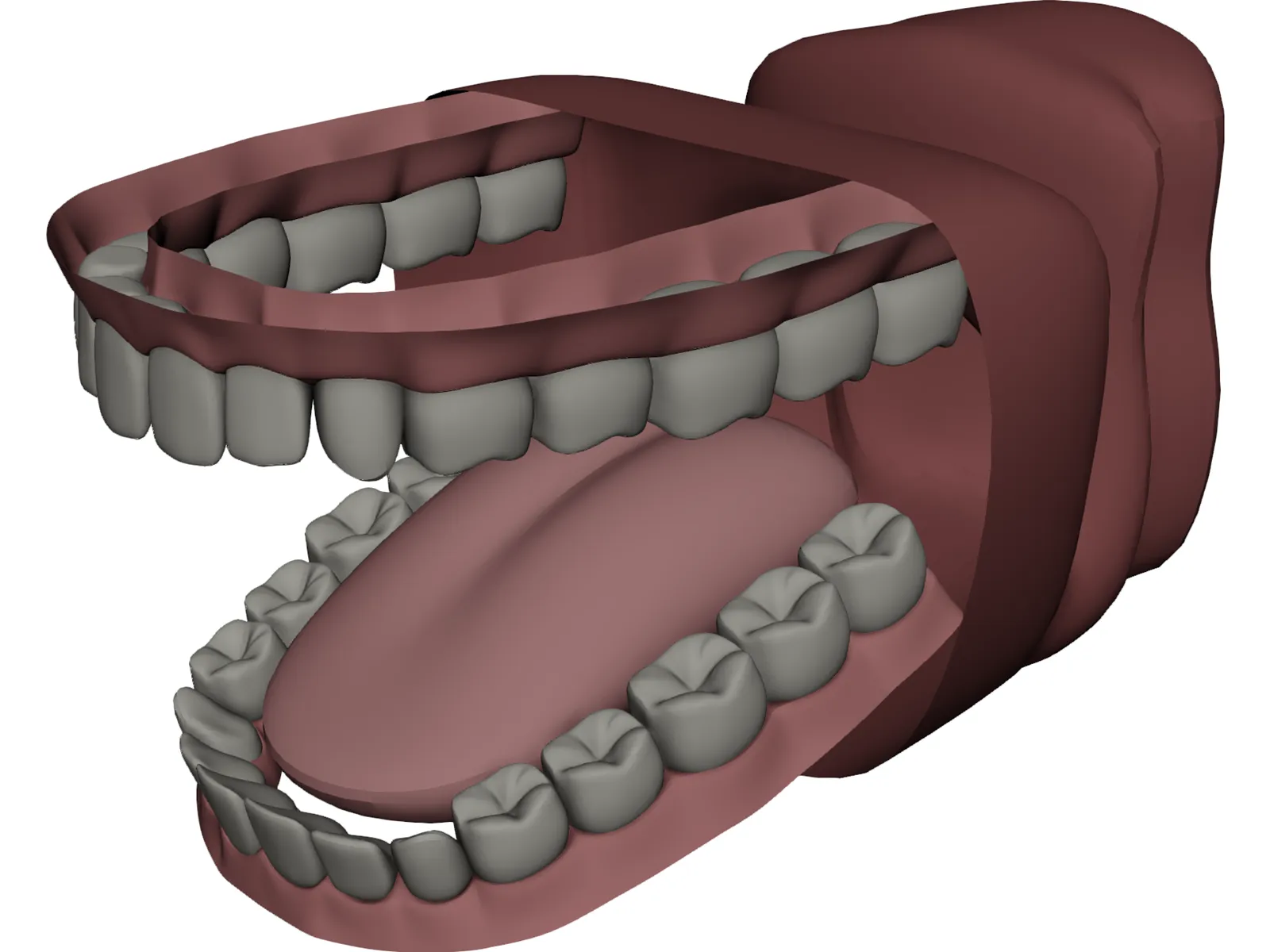 Mouth 3D Model main preview