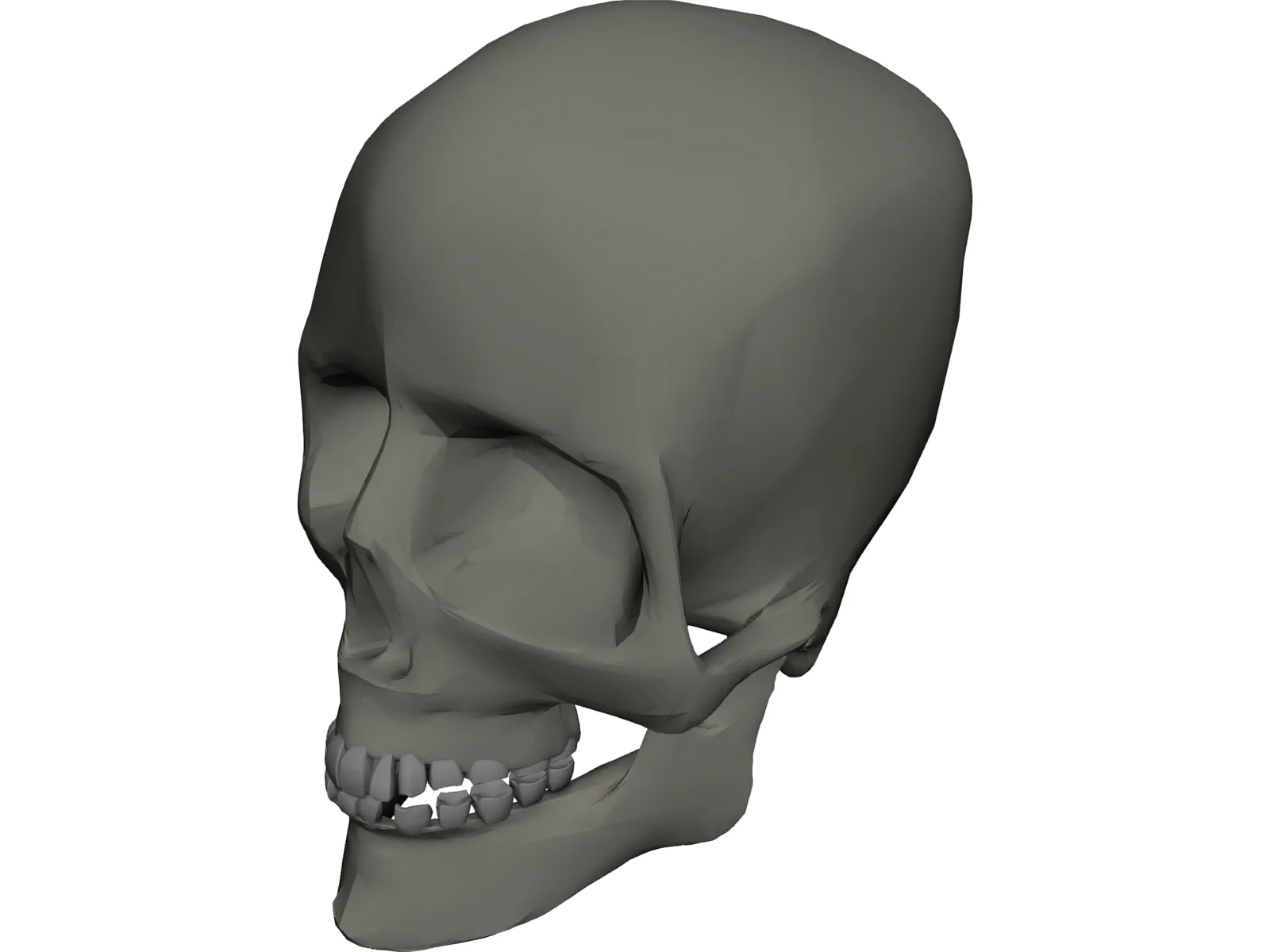 Skull 3D Model main preview