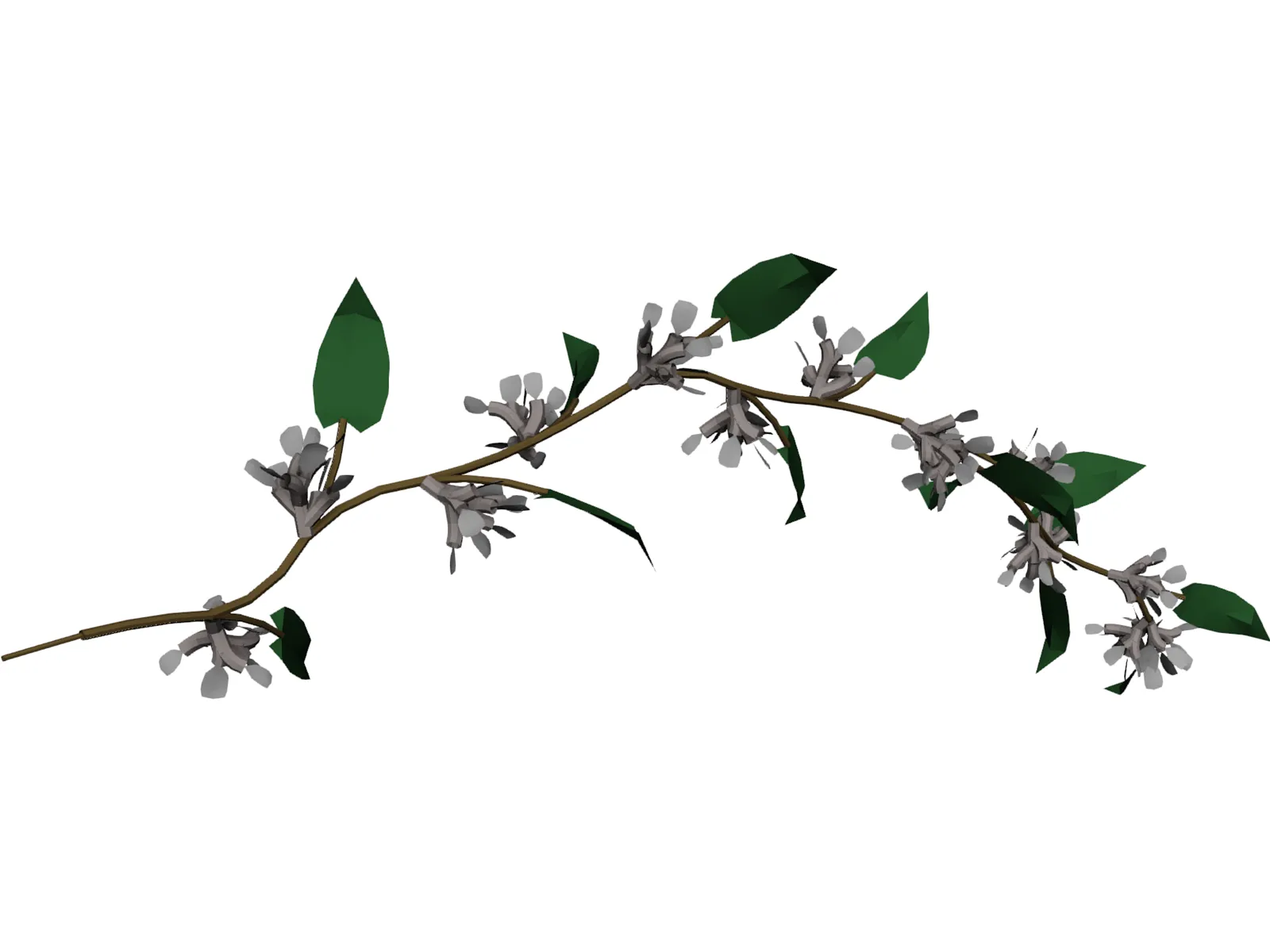 Wine Plant 3D Model main preview