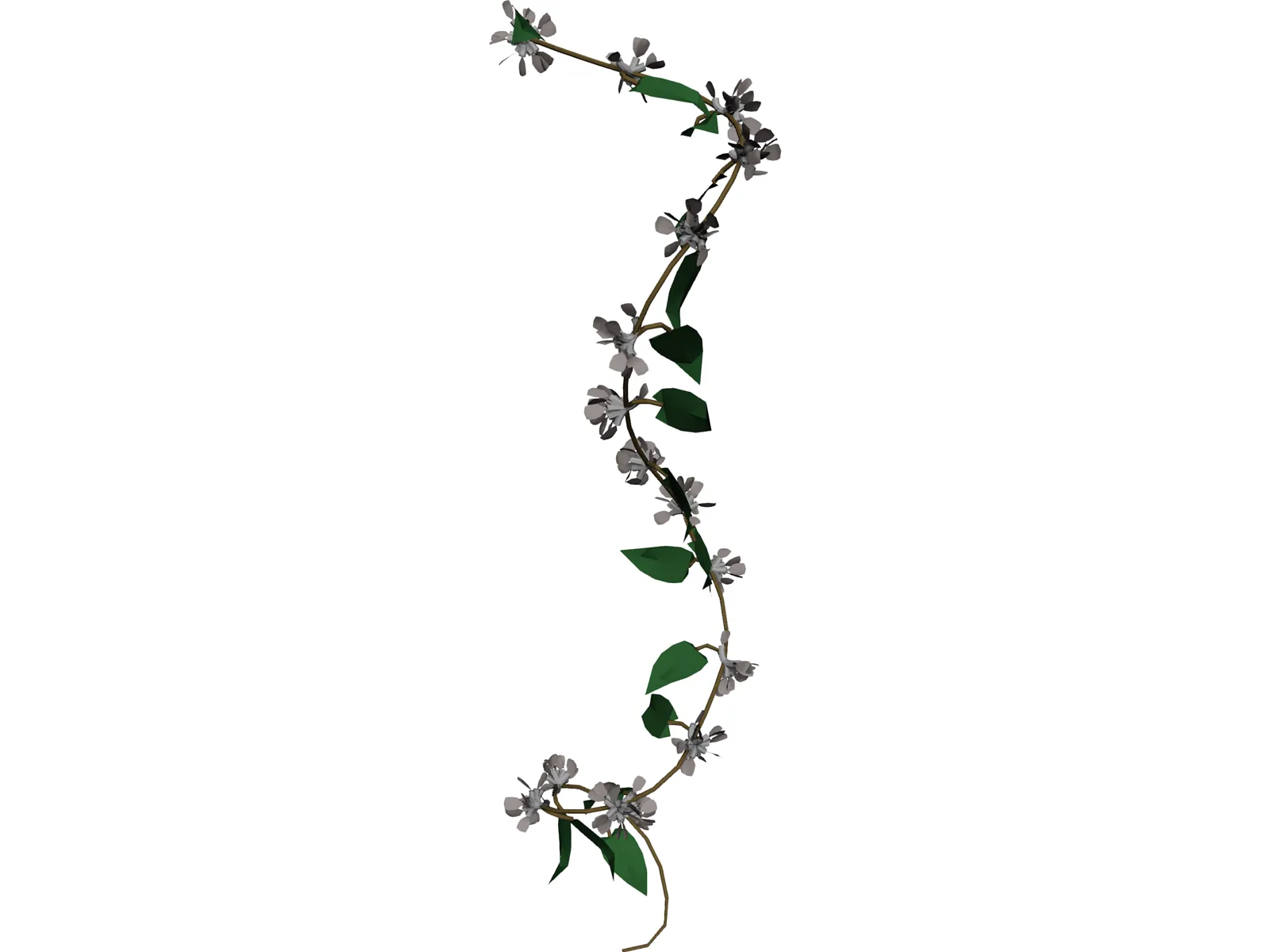 Wine Plant 3D Model main preview