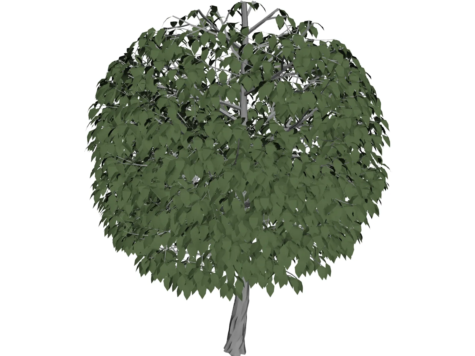 Tree 3D Model main preview