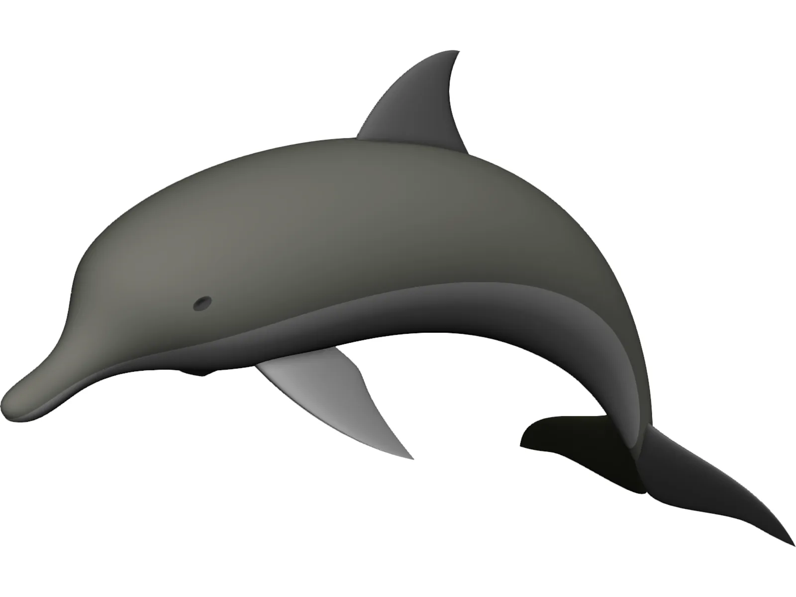 Dolphin 3D Model main preview