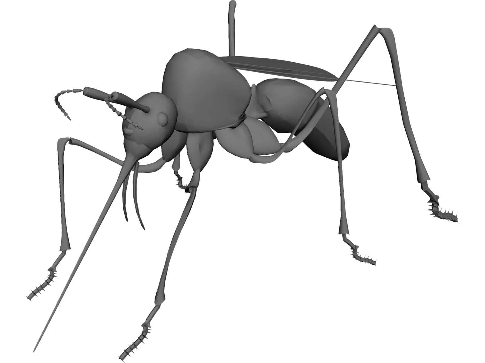 Mosquito 3D Model main preview