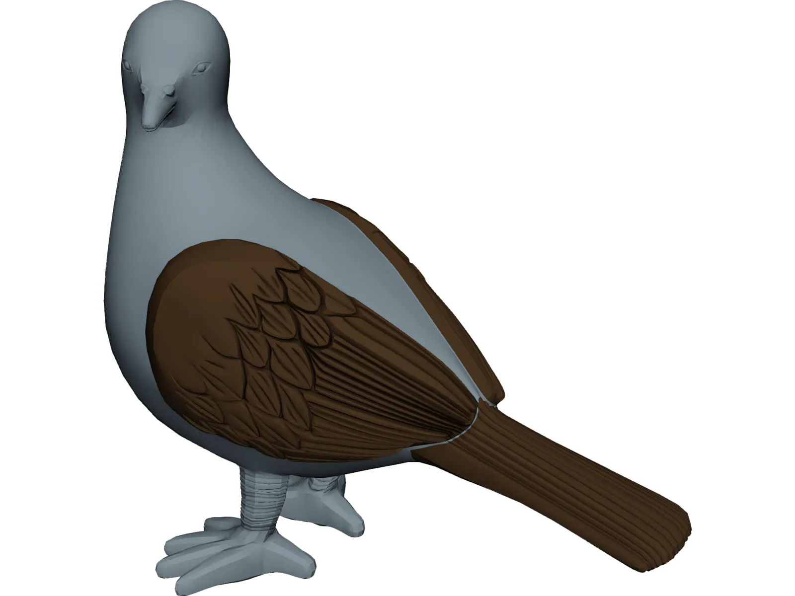 Pigeon 3D Model main preview