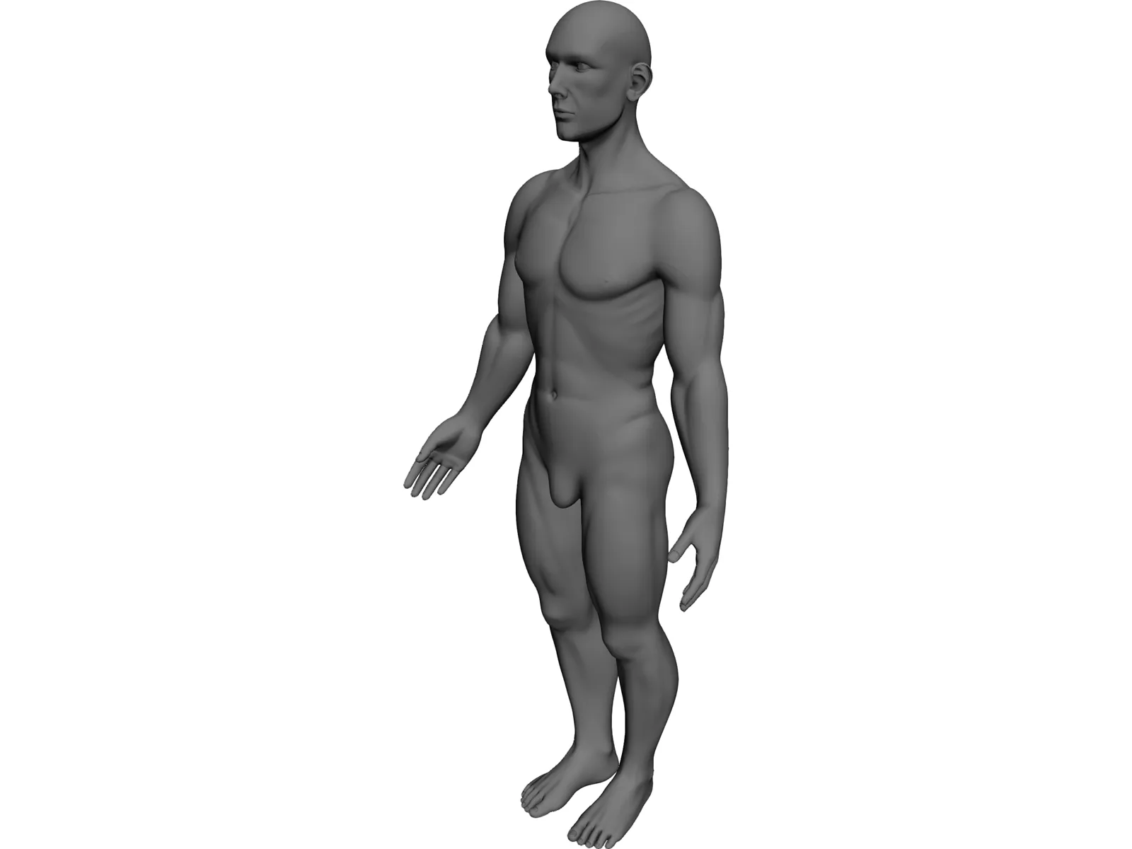 Man 3D Model main preview