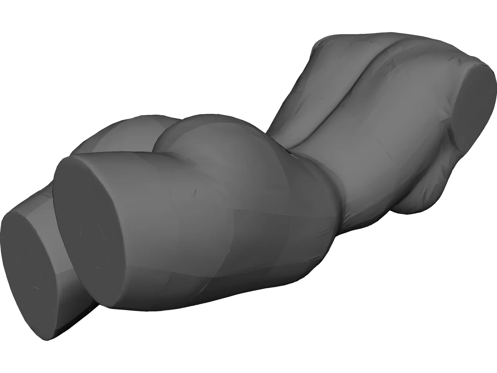 Female Torso 3D Model main preview