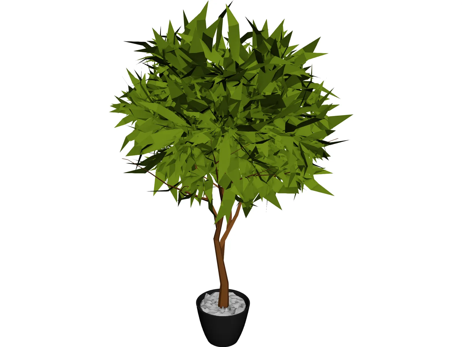 Ash Tree 3D Model main preview