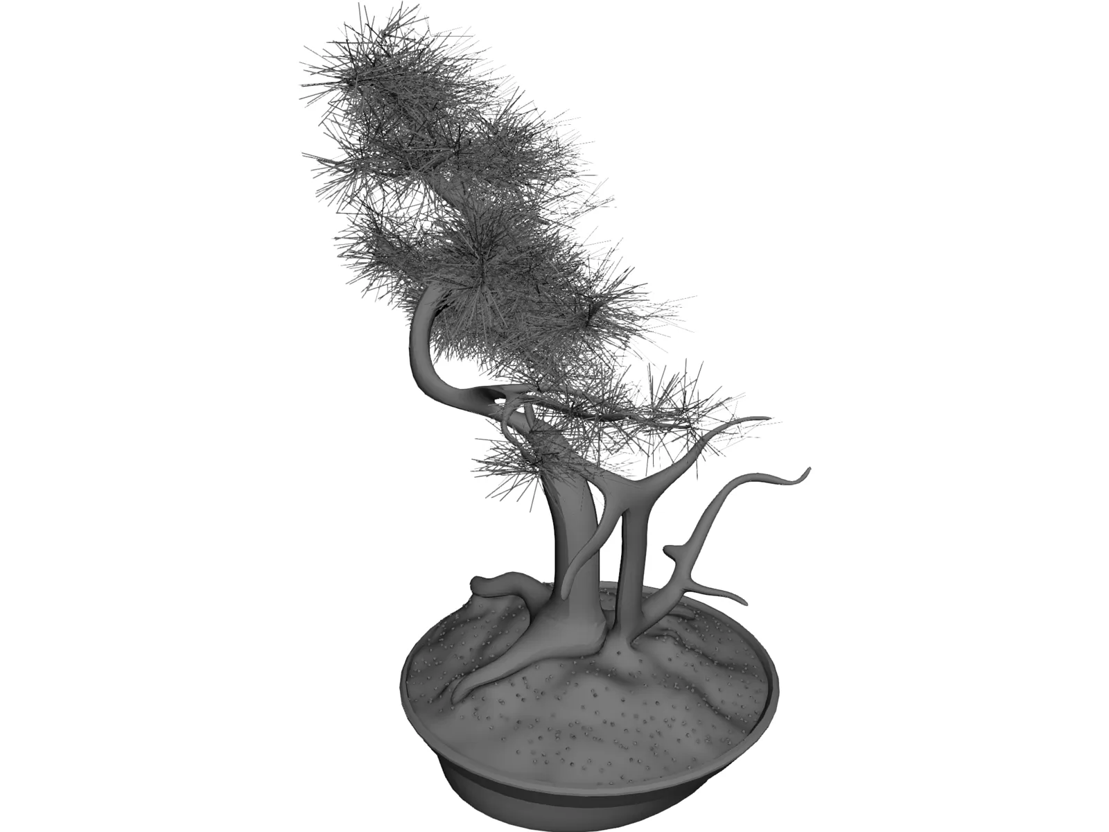 Bonsai Tree 3D Model main preview