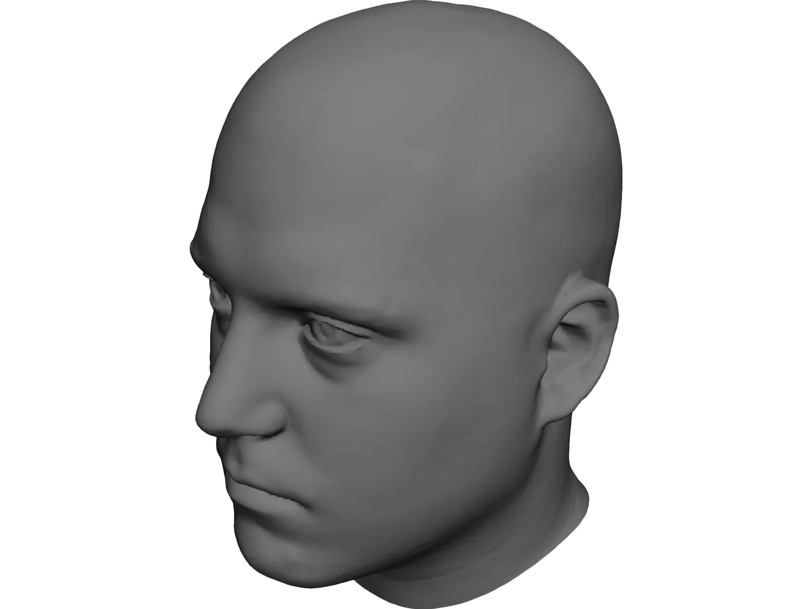 Human Male Scanned Head 3D Model main preview