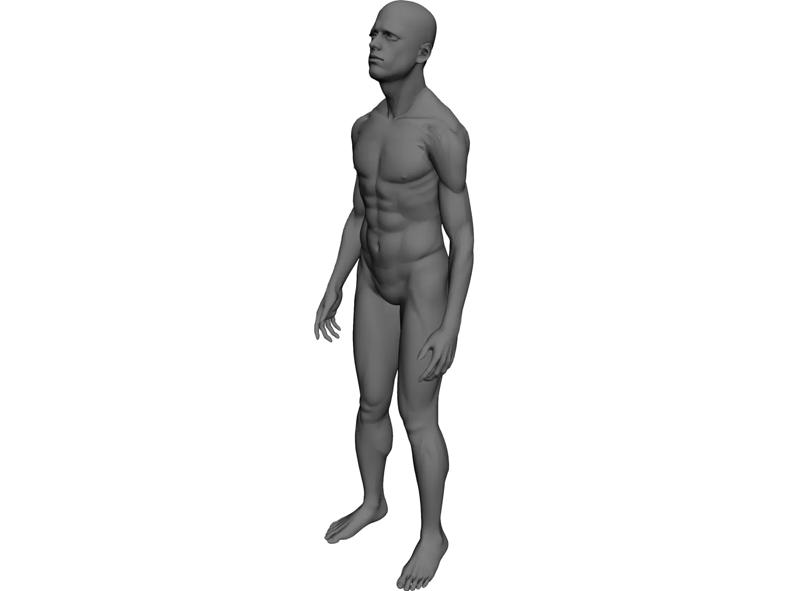 Man Human 3D Model main preview