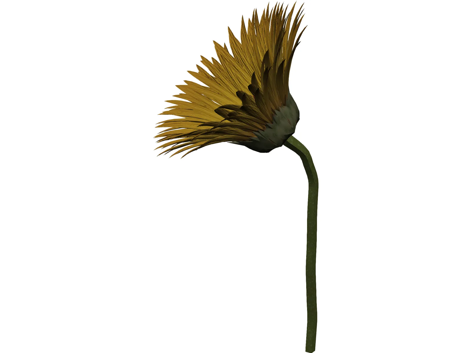 Sunflower 3D Model main preview