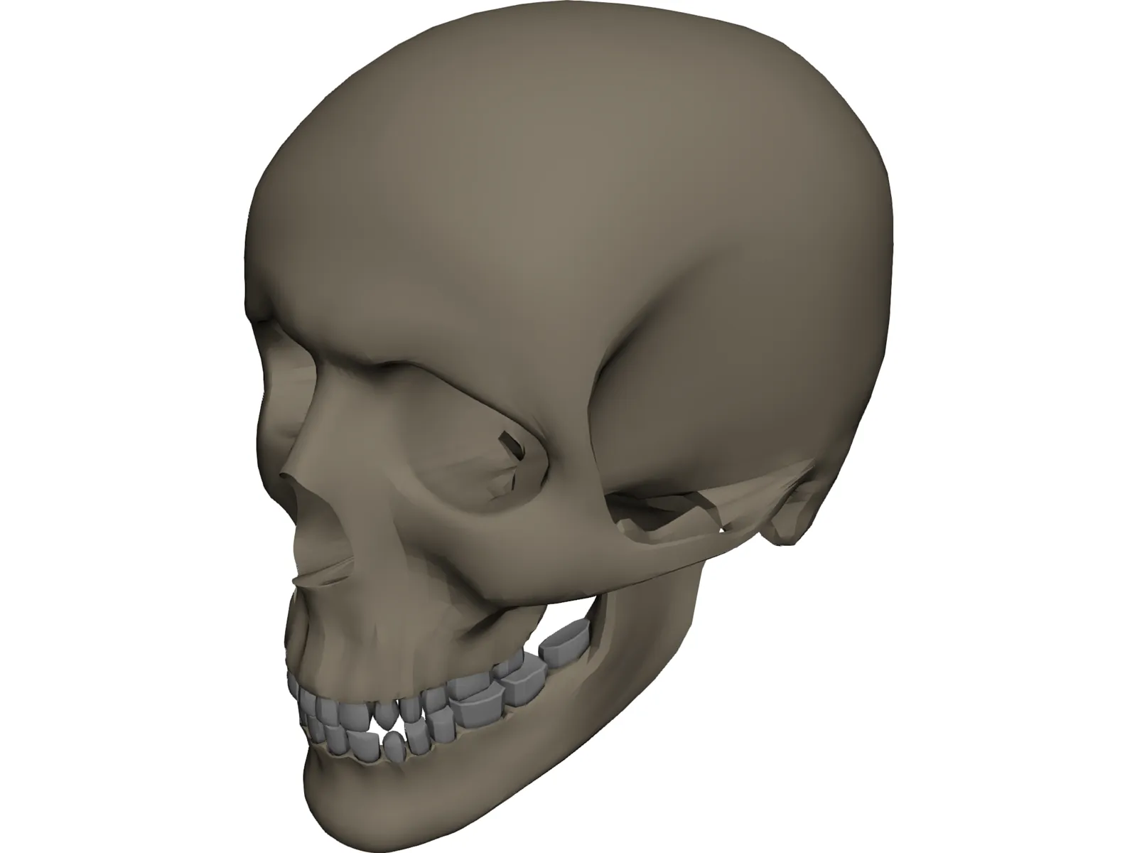 Skull Male 3D Model main preview