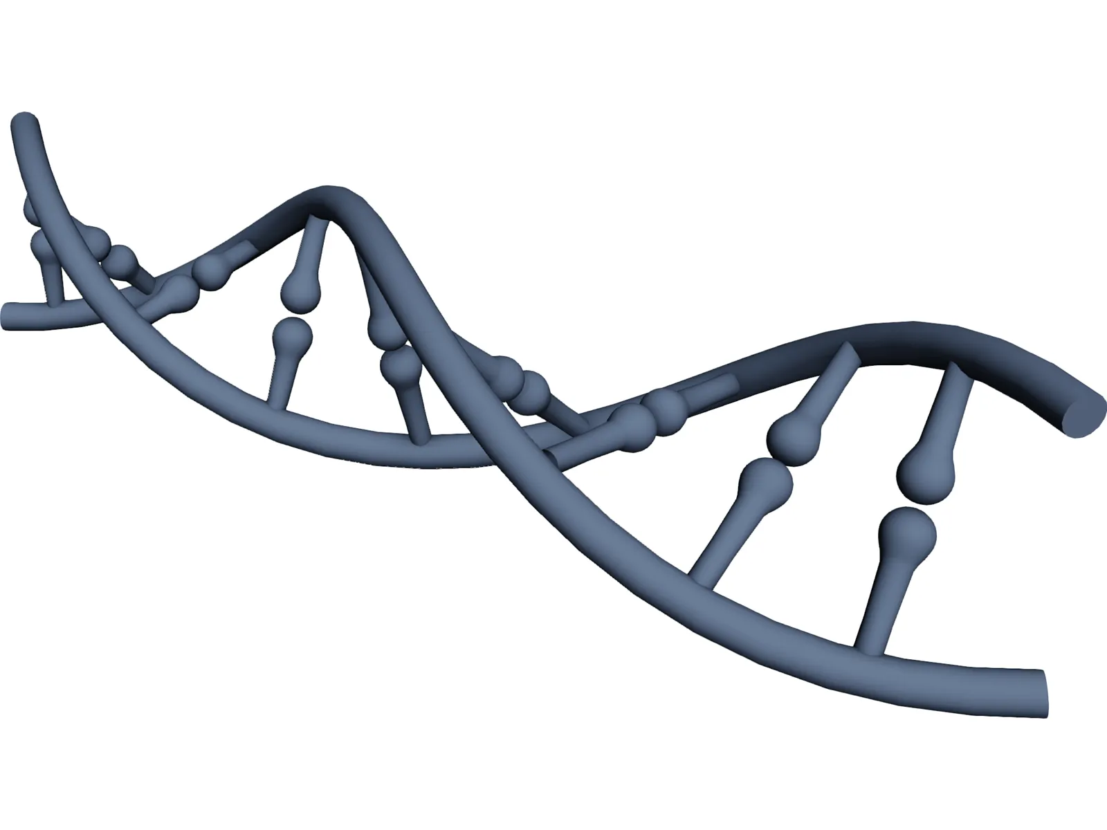 DNA 3D Model main preview