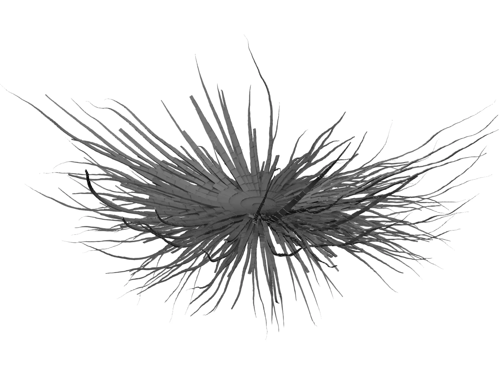 Bacteria 3D Model main preview