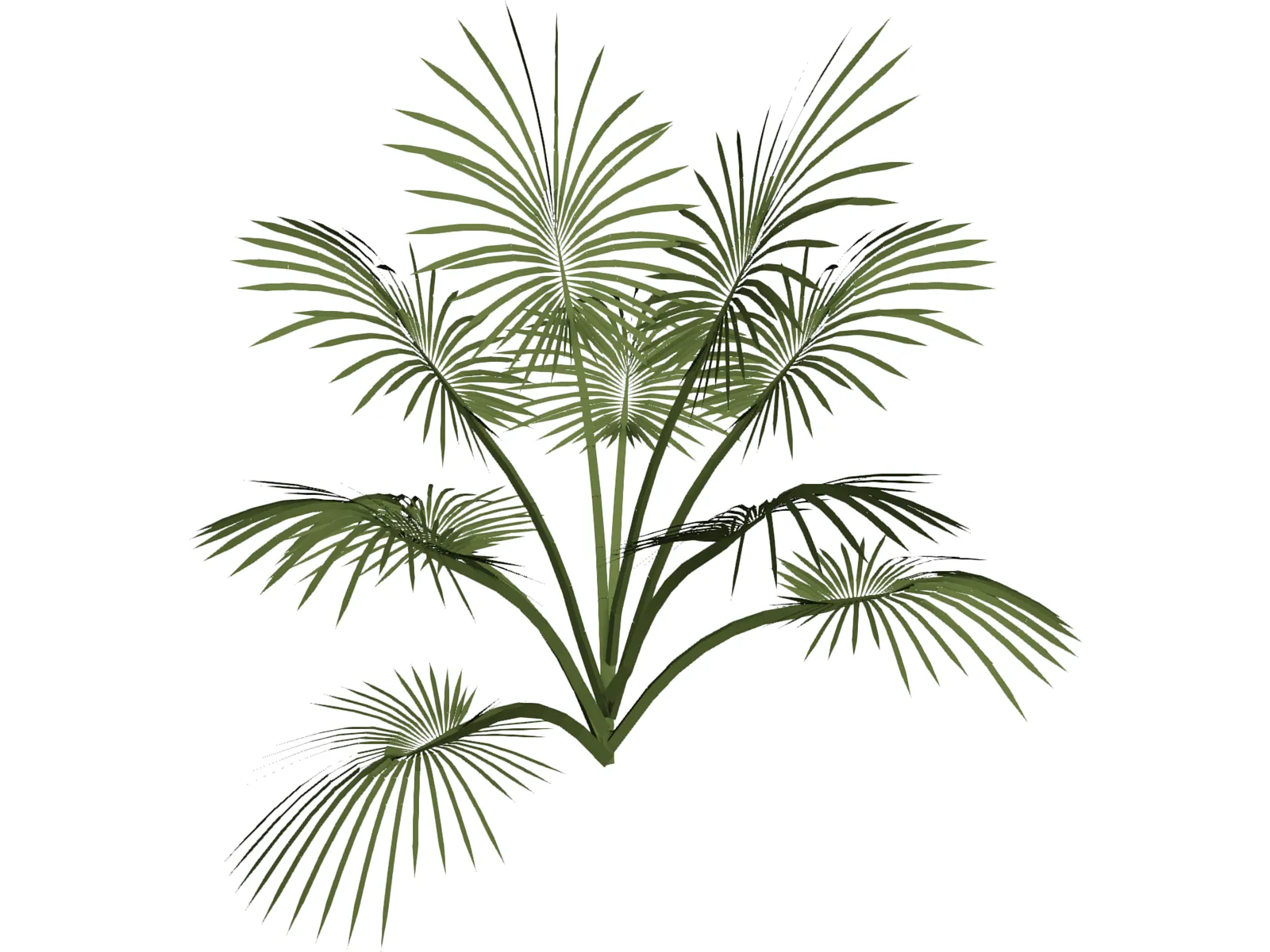 Tree 3D Model main preview