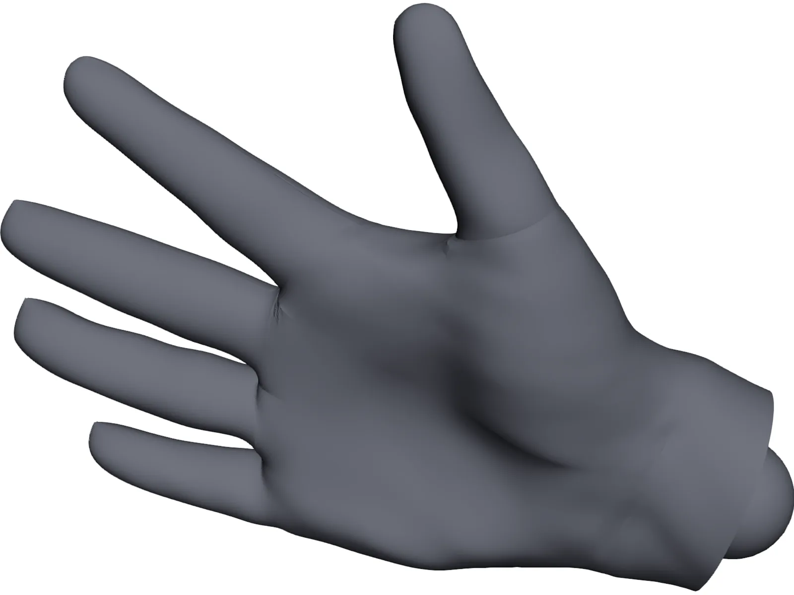 Human Hand 3D Model main preview